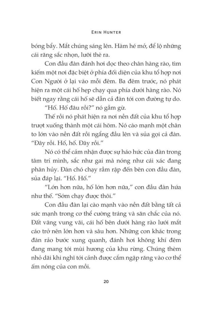 Mèo Chiến Binh - Con Đường Hiểm Nguy PDF Mèo Chiến Binh - Con Đường Hiểm Nguy PDF