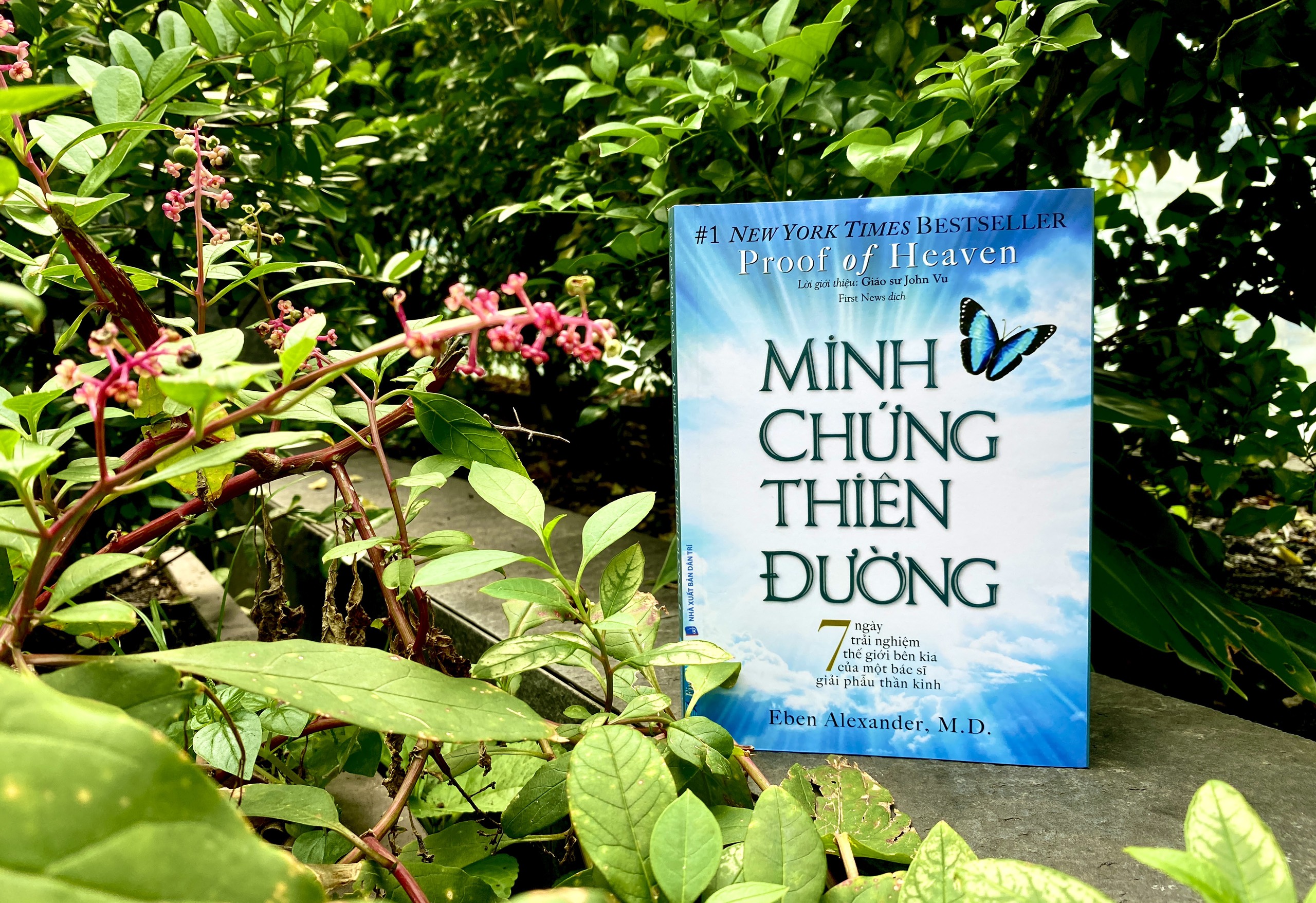 Minh Chứng Thiên Đường PDF đọc ebook online, epub online, nghe sách nói audio miễn phí.
