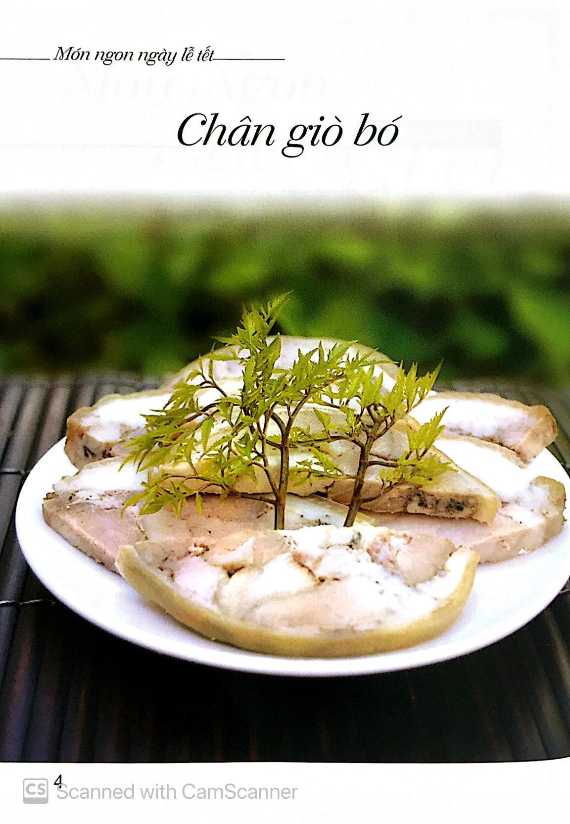 Món Ngon Ngày Lễ Tết PDF