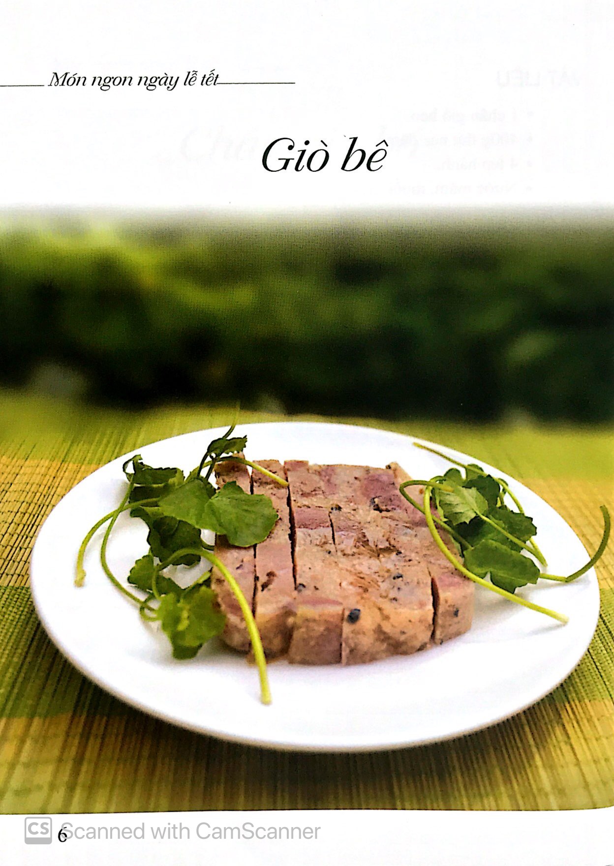 Món Ngon Ngày Lễ Tết PDF