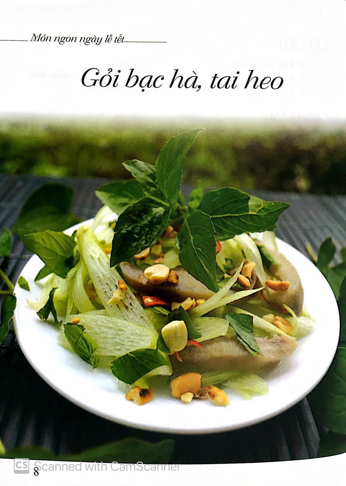 Món Ngon Ngày Lễ Tết PDF