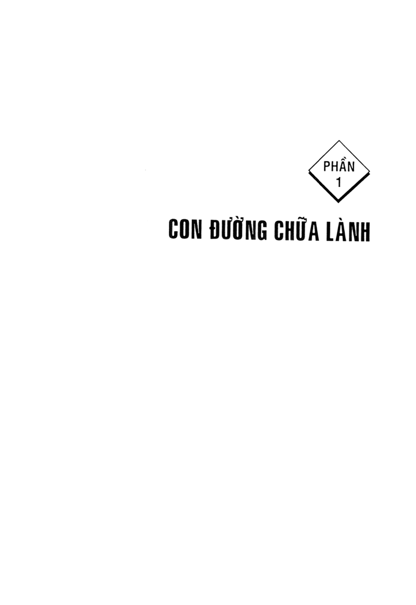 Năng Lực Chữa Lành Của Tâm PDF Năng Lực Chữa Lành Của Tâm PDF