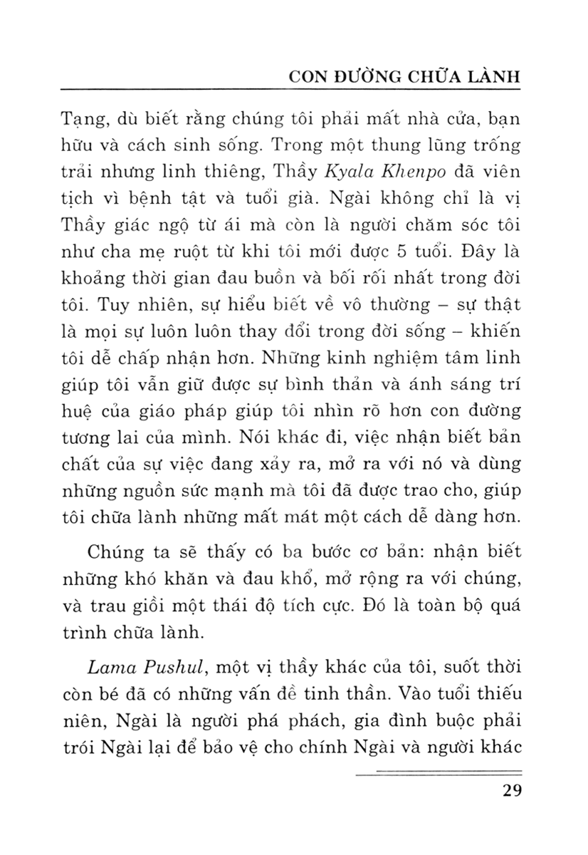 Năng Lực Chữa Lành Của Tâm PDF Năng Lực Chữa Lành Của Tâm PDF