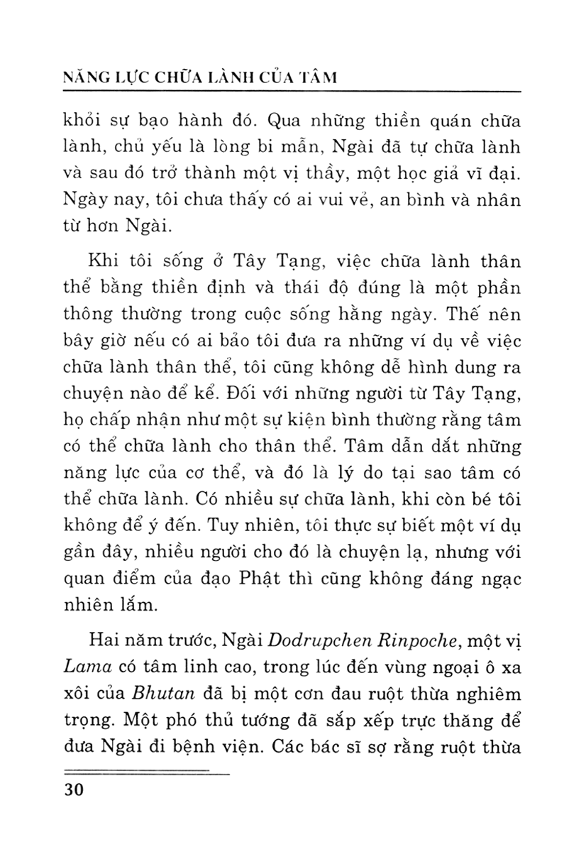 Năng Lực Chữa Lành Của Tâm PDF Năng Lực Chữa Lành Của Tâm PDF