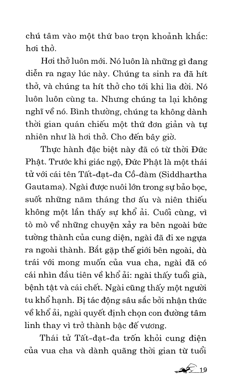 Ngồi Như Phật PDF