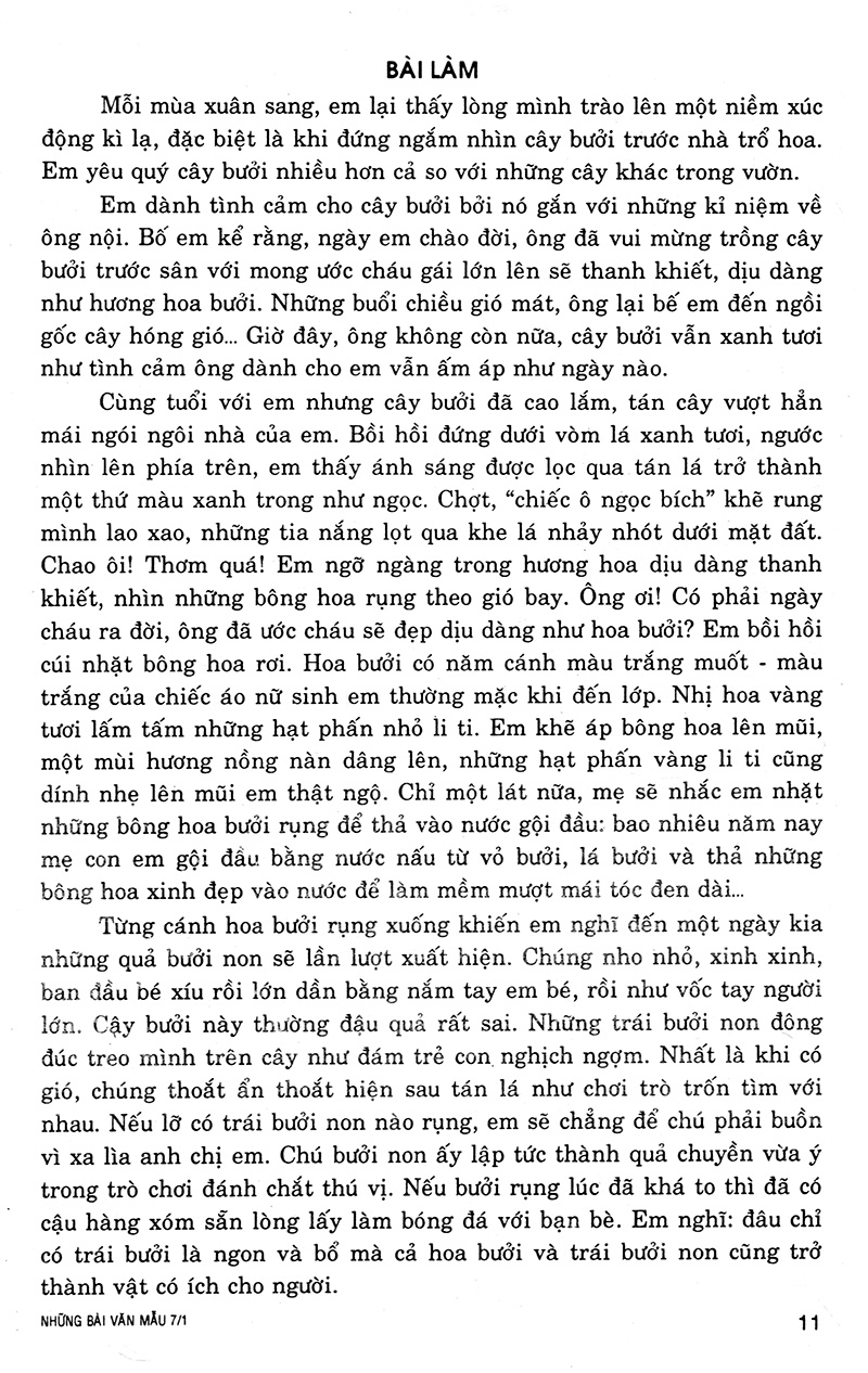 Tải sách Những Bài Văn Mẫu 7/1 PDF đọc ebook online, epub online, nghe sách nói audio miễn phí.