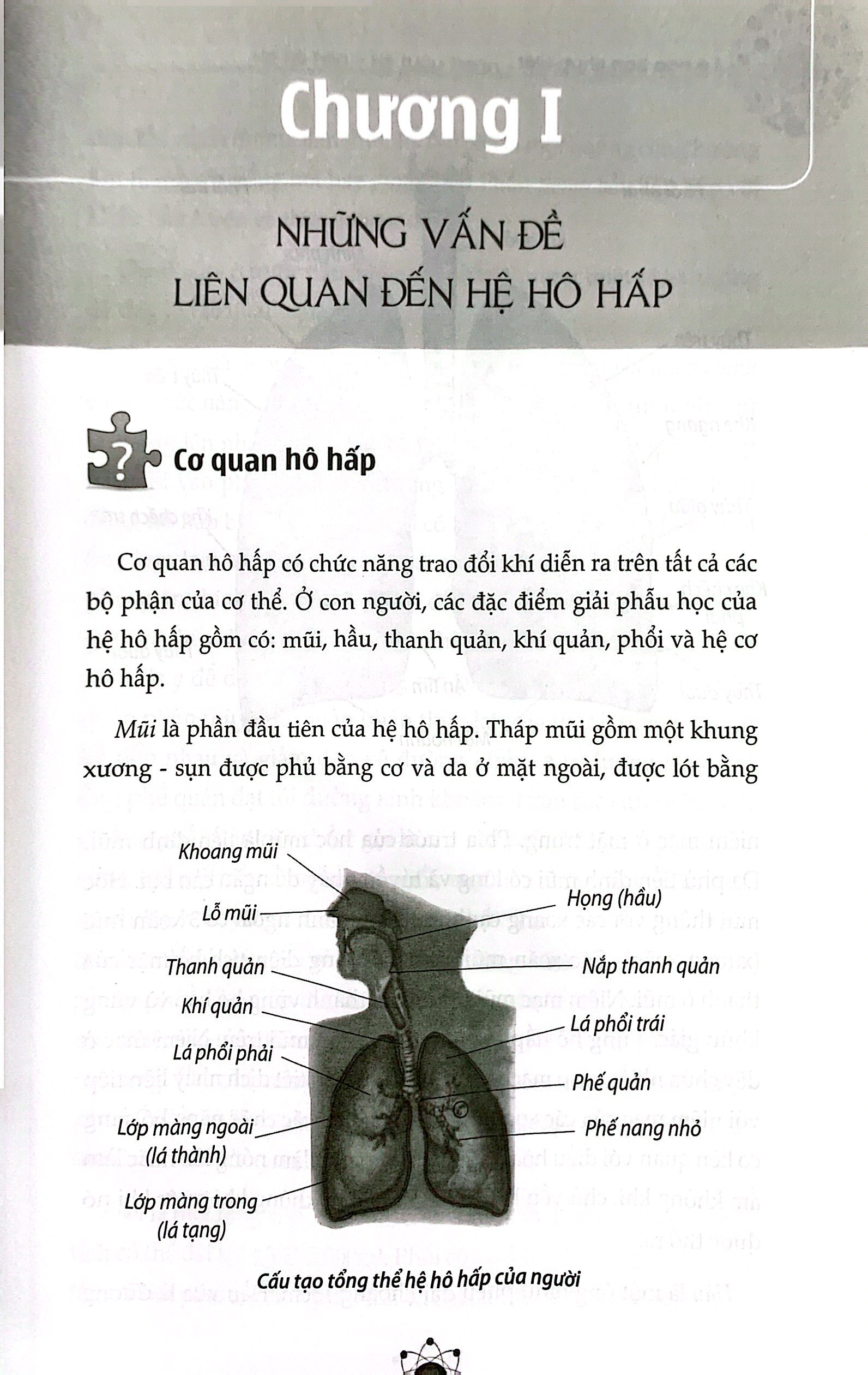 Tải sách Những Điều Cần Biết Về Cơ Thể Người Và Cách Phòng Tránh Bệnh Tật - Hệ Hô Hấp, Hệ Tuần Hoàn, Hệ Tiêu Hóa, Hệ Tiết Niệu PDF đọc ebook online, epub online, nghe sách nói audio miễn phí.