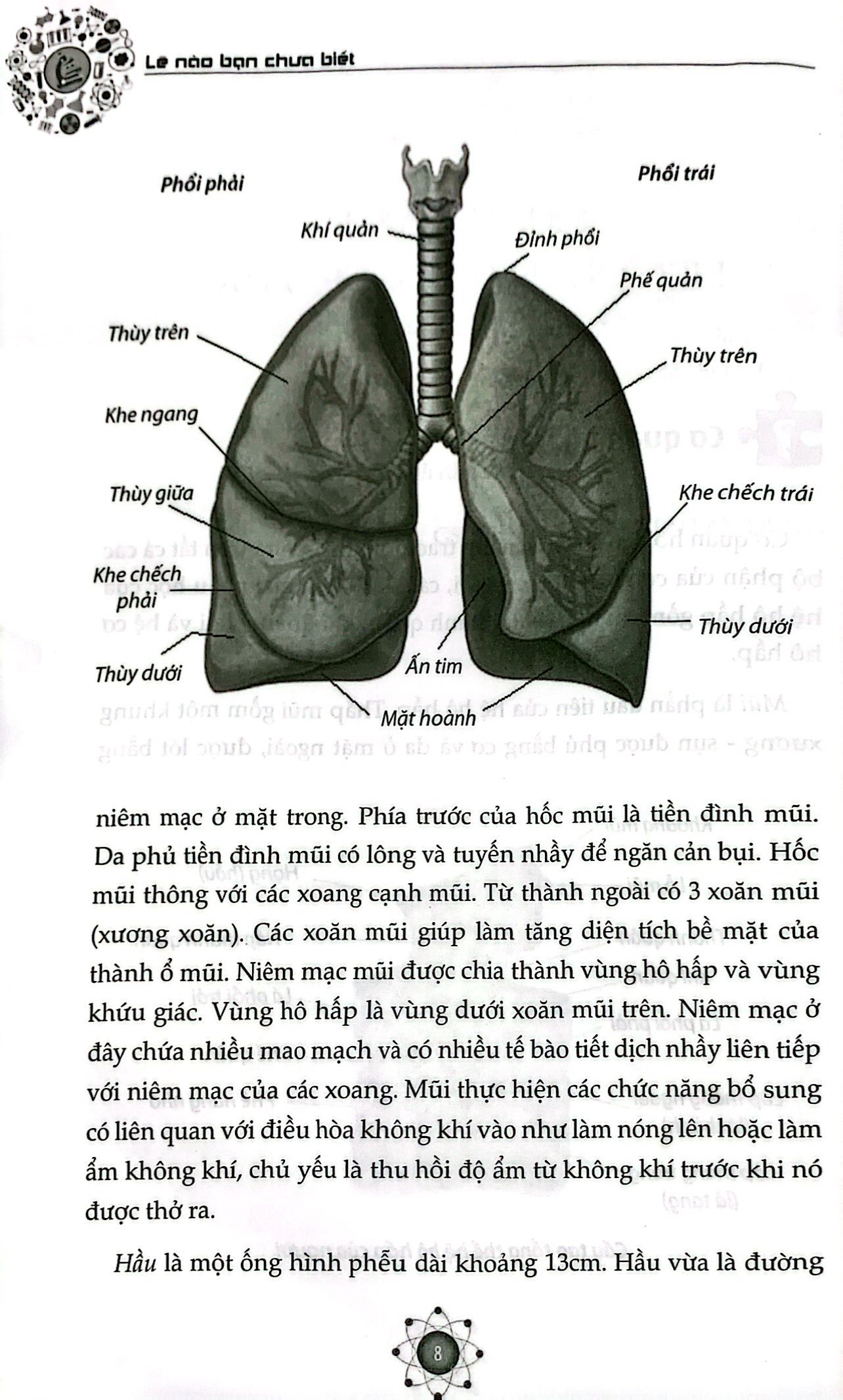 Tải sách Những Điều Cần Biết Về Cơ Thể Người Và Cách Phòng Tránh Bệnh Tật - Hệ Hô Hấp, Hệ Tuần Hoàn, Hệ Tiêu Hóa, Hệ Tiết Niệu PDF đọc ebook online, epub online, nghe sách nói audio miễn phí.