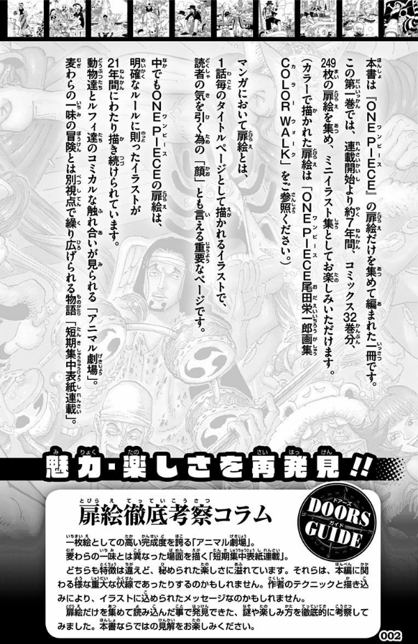 One Piece Doors 1 One Piece Doors 1
