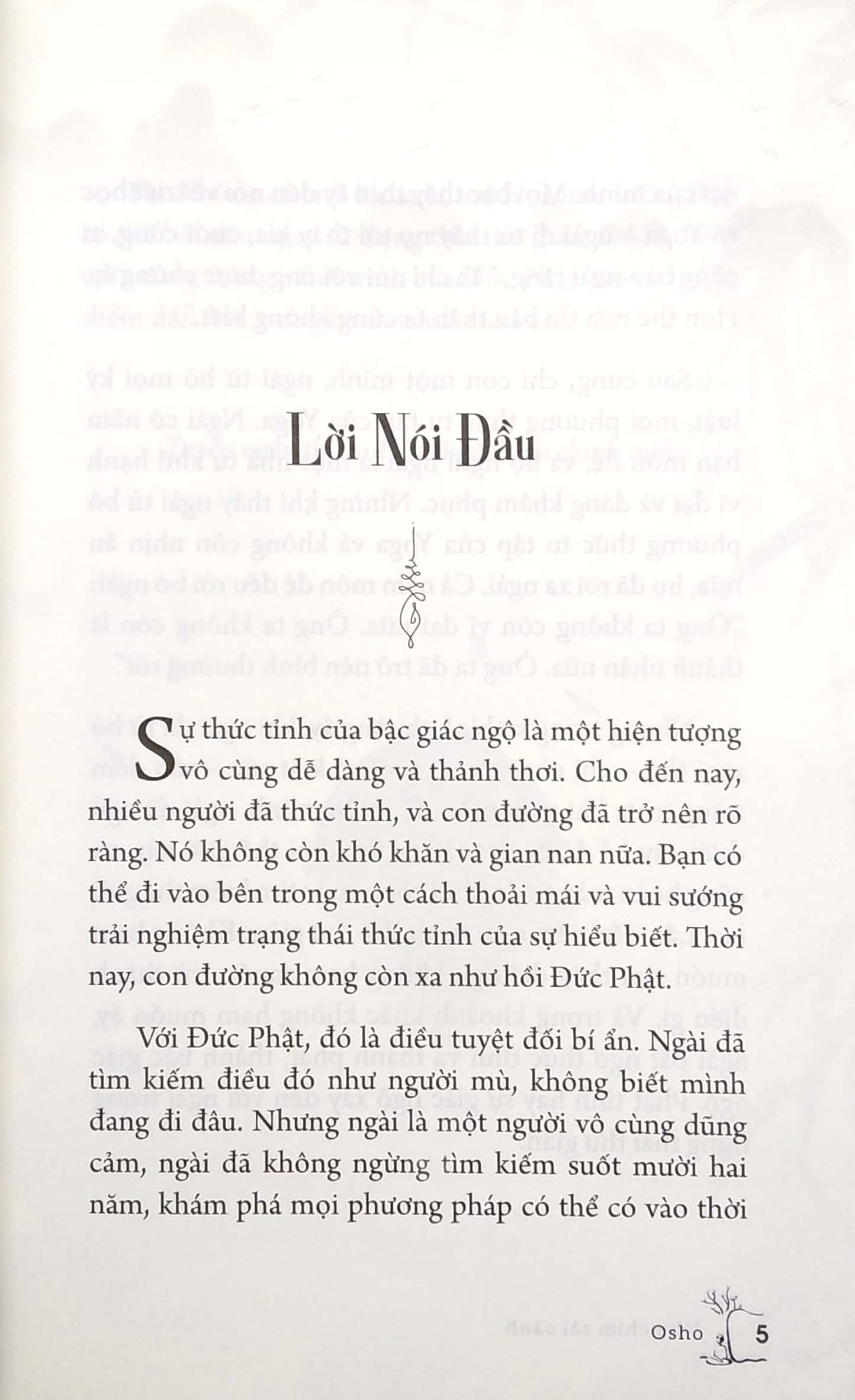 Osho - Như Chim Sải Cánh PDF