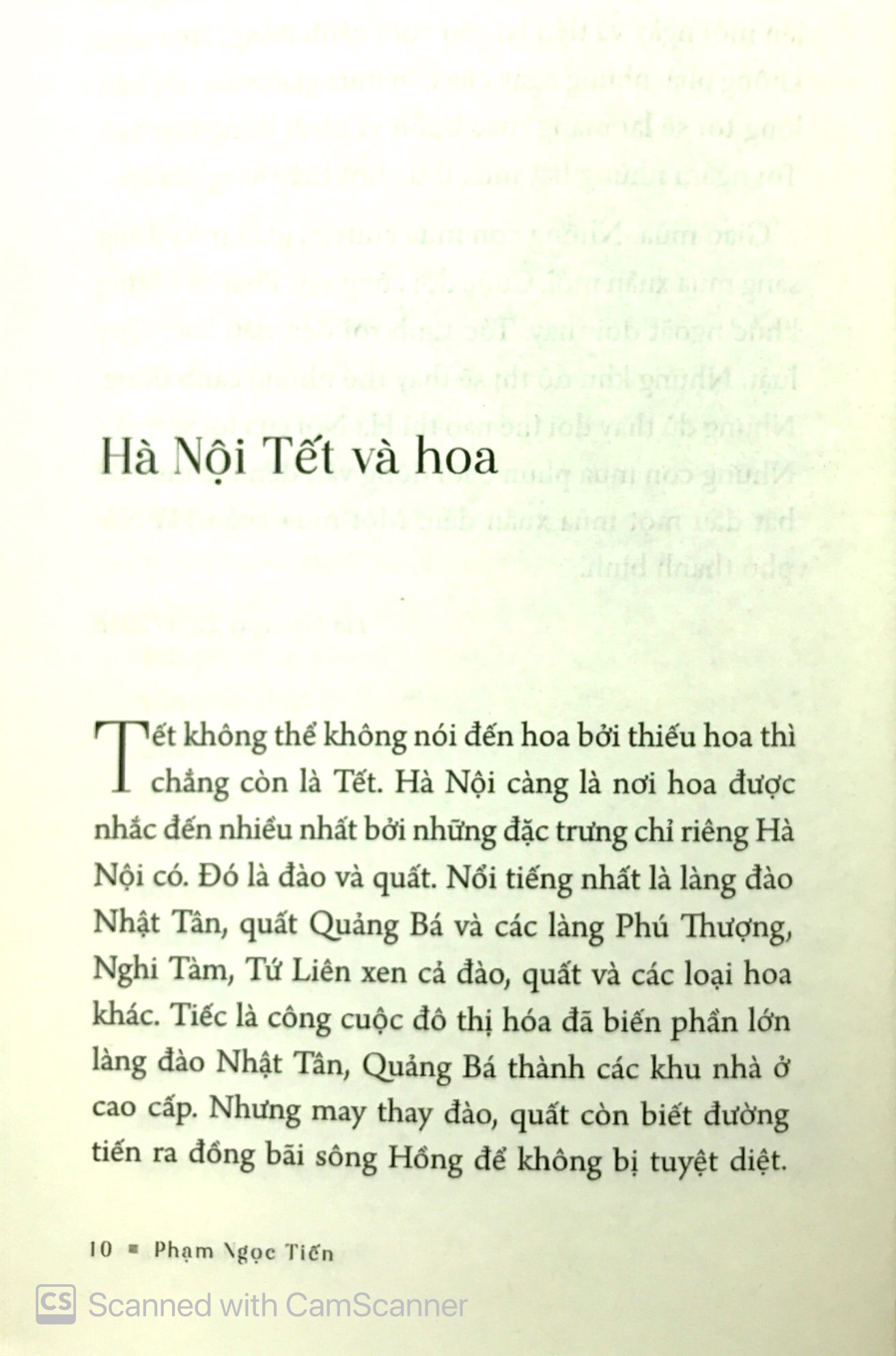 Tải sách Phố Phở Phố Có Nhà To PDF đọc ebook online, epub online, nghe sách nói audio miễn phí.