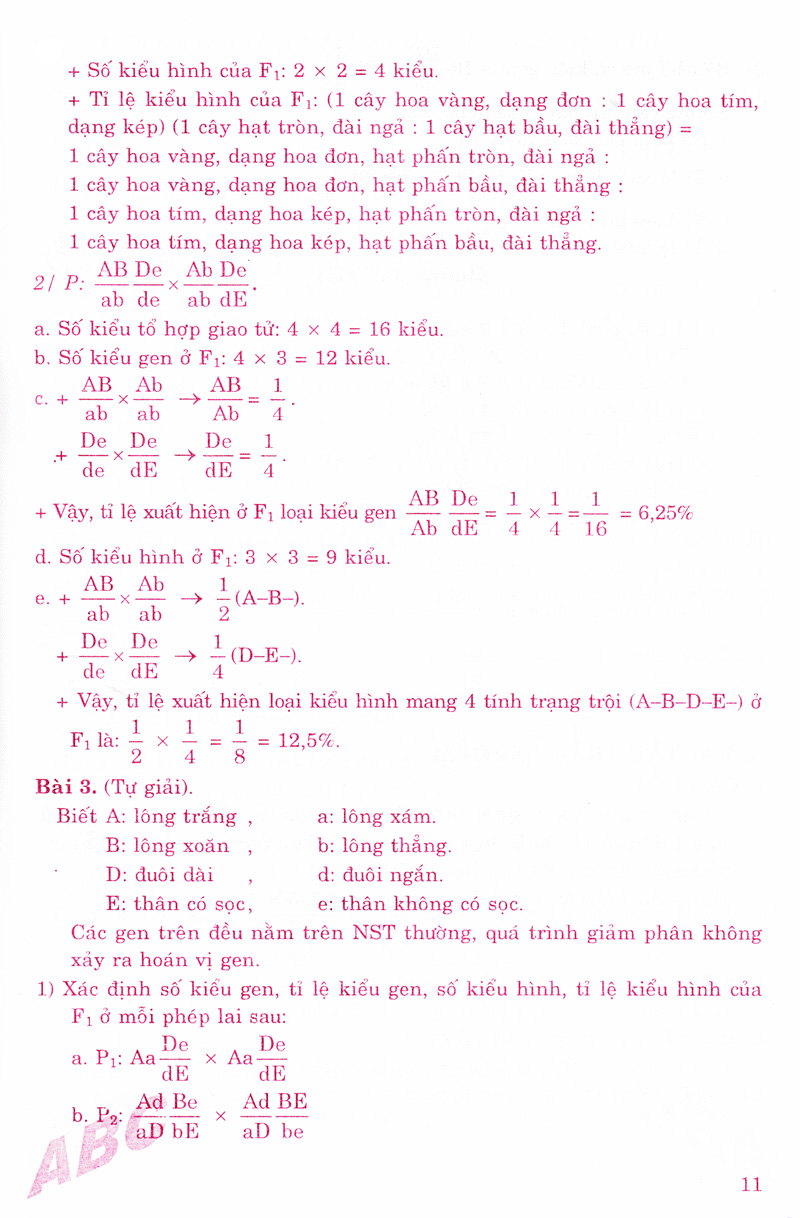 Tải sách Phương Pháp Giải Toán Tích Hợp Các Quy Luật Di Truyền Sinh học (Anpha VN) PDF đọc ebook online, epub online, nghe sách nói audio miễn phí.