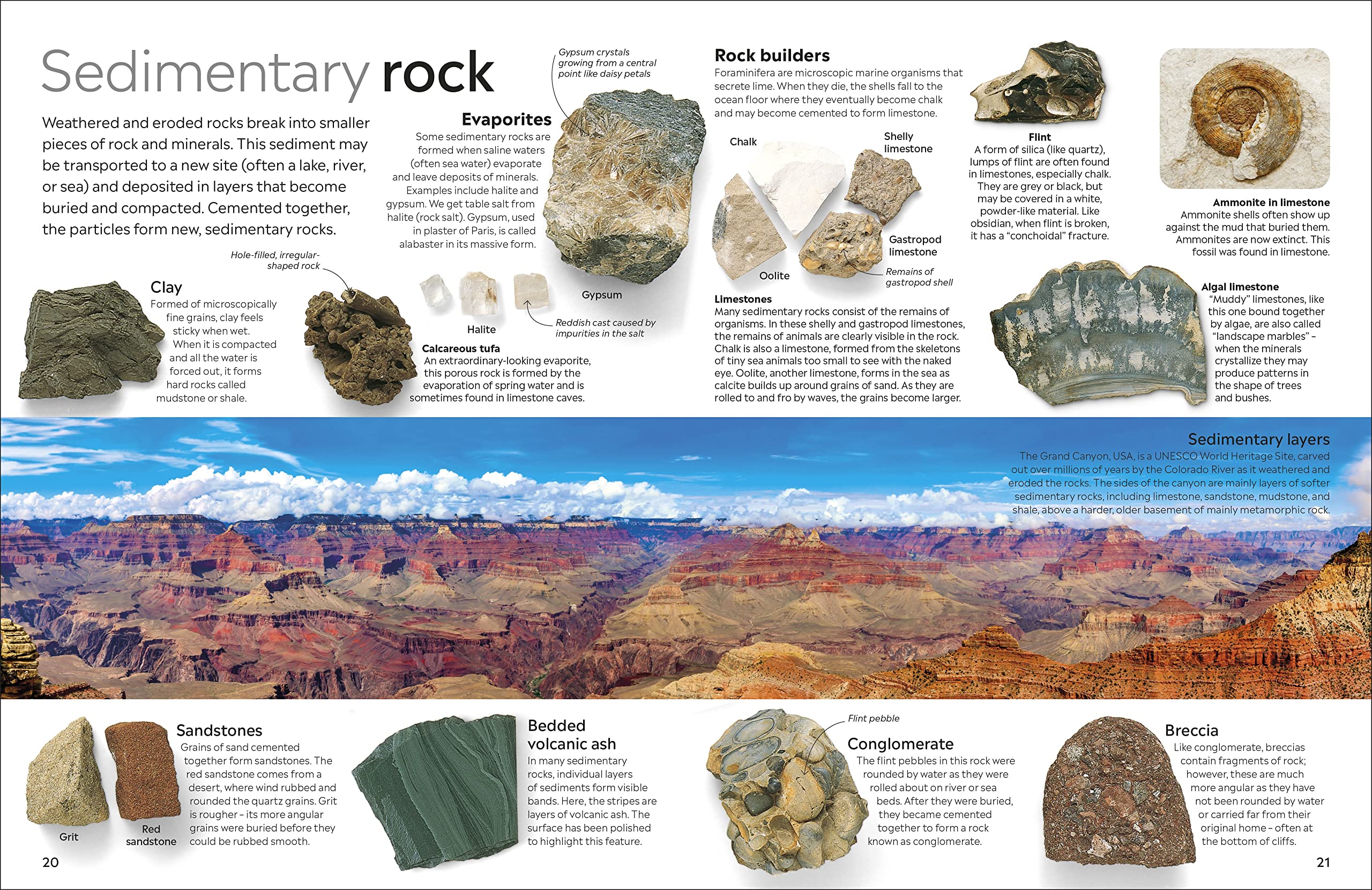 Rock And Mineral PDF đọc ebook online, epub online, nghe sách nói audio miễn phí. Rock And Mineral PDF đọc ebook online, epub online, nghe sách nói audio miễn phí.