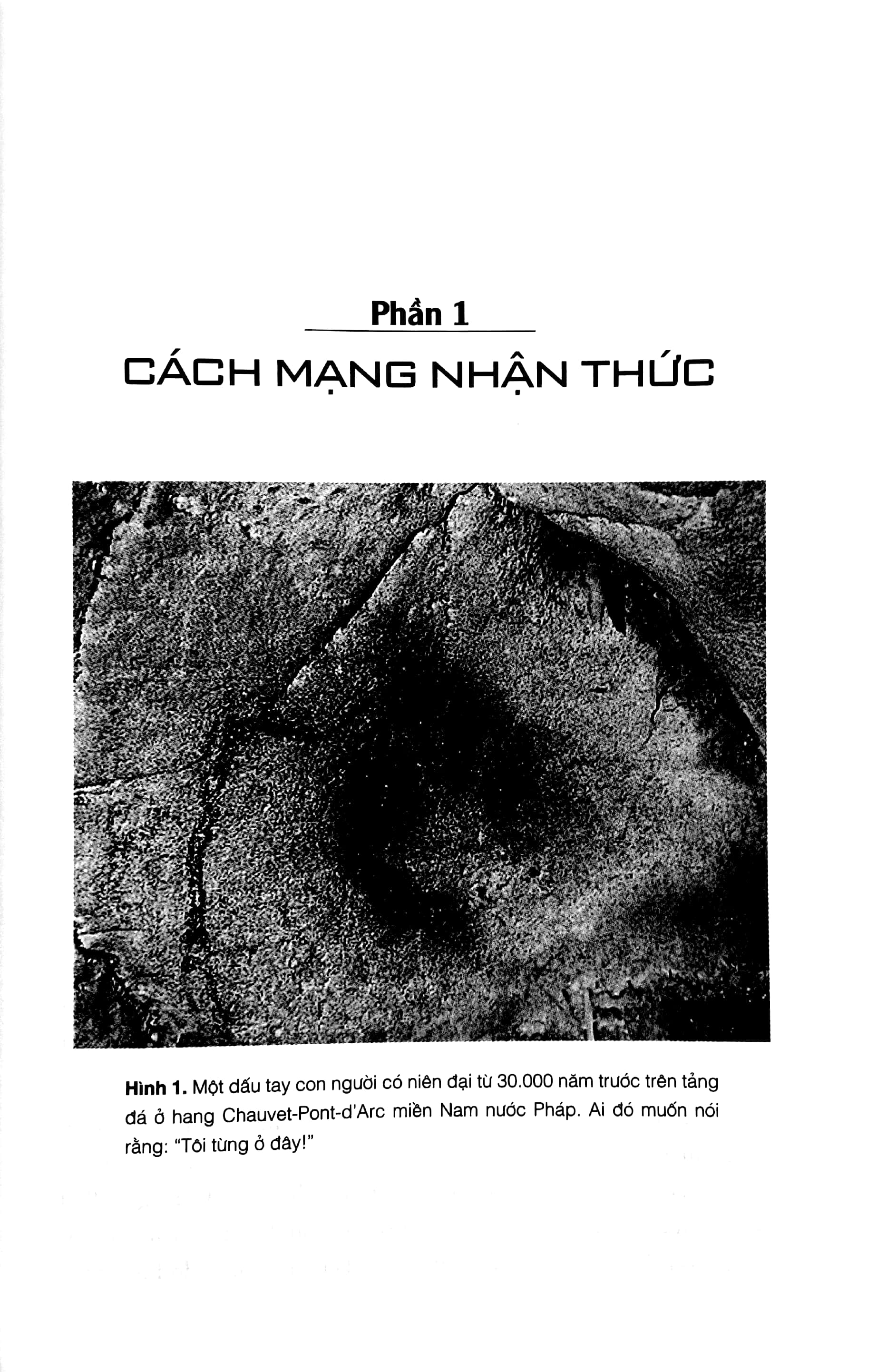 Sapiens Lược Sử Loài Người PDF đọc ebook online, epub online, nghe sách nói audio miễn phí.