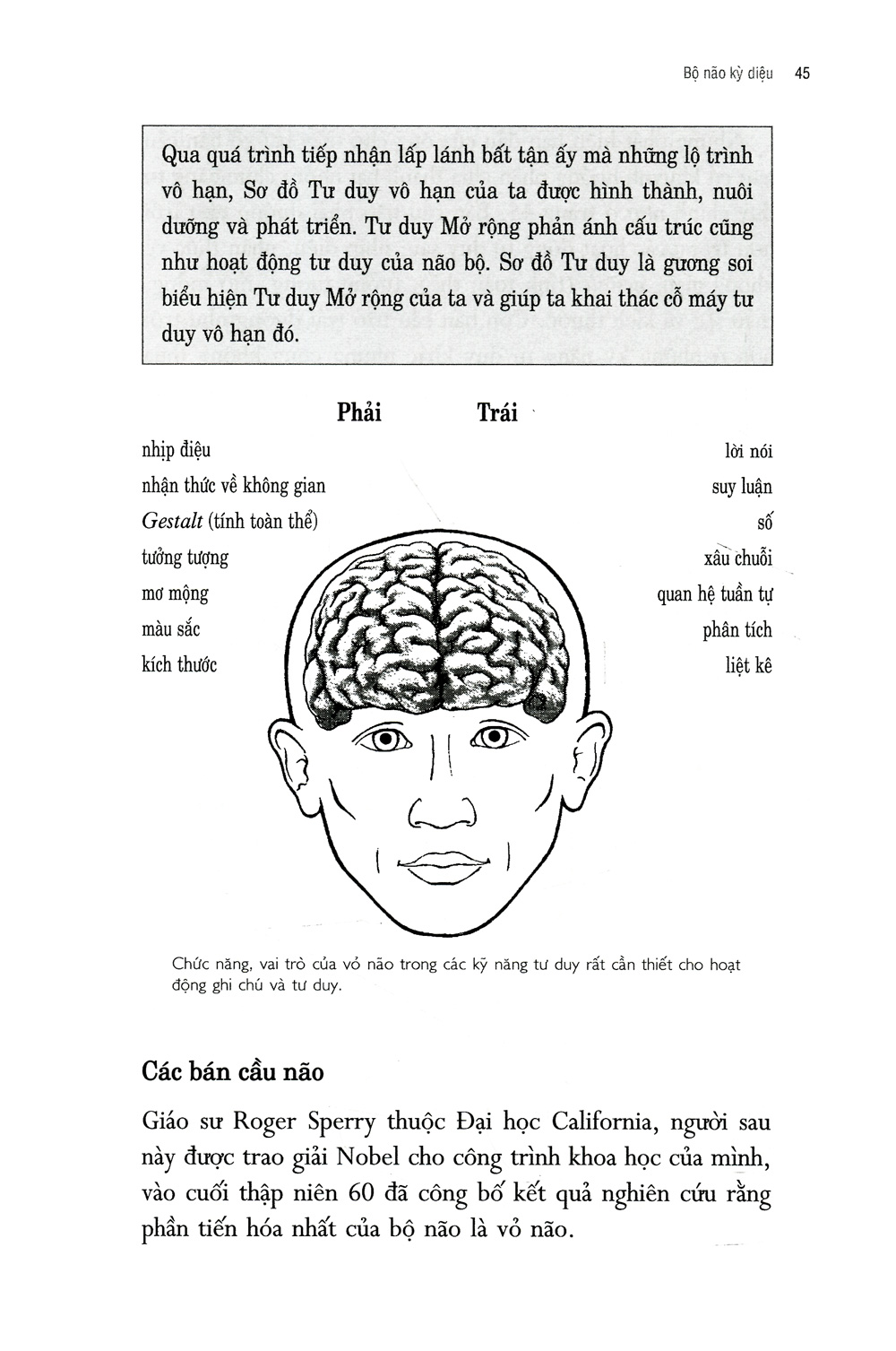 Sơ Đồ Tư Duy PDF Sơ Đồ Tư Duy PDF