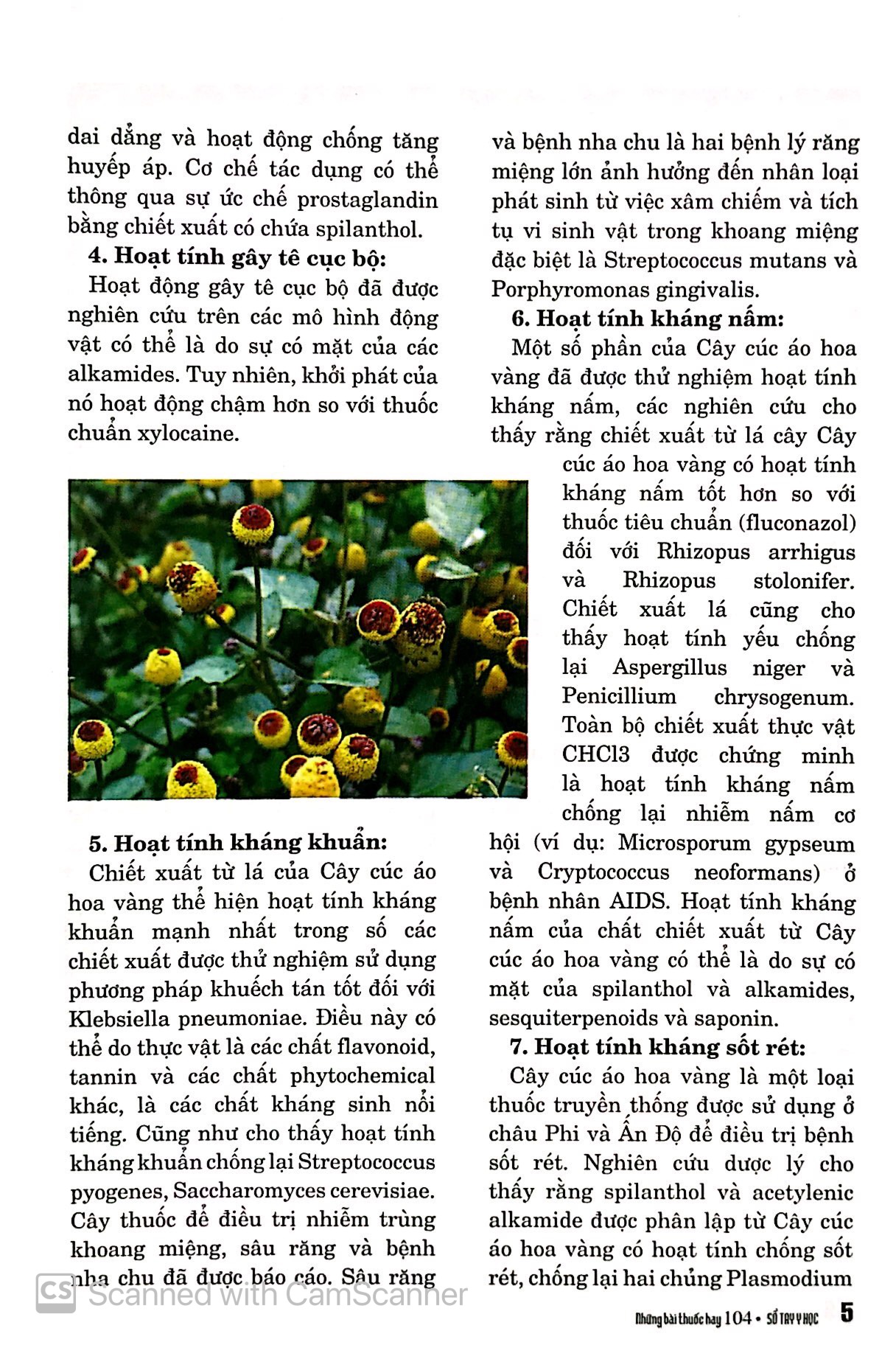 Bộ Sổ Tay Y Học - Những Bài Thuốc Hay 104 PDF