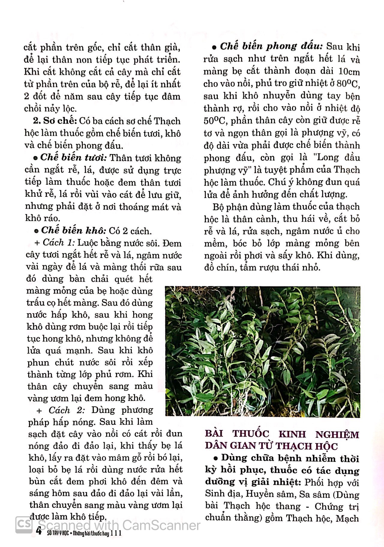 Bộ Sổ Tay Y Học - Những Bài Thuốc Hay 111 PDF