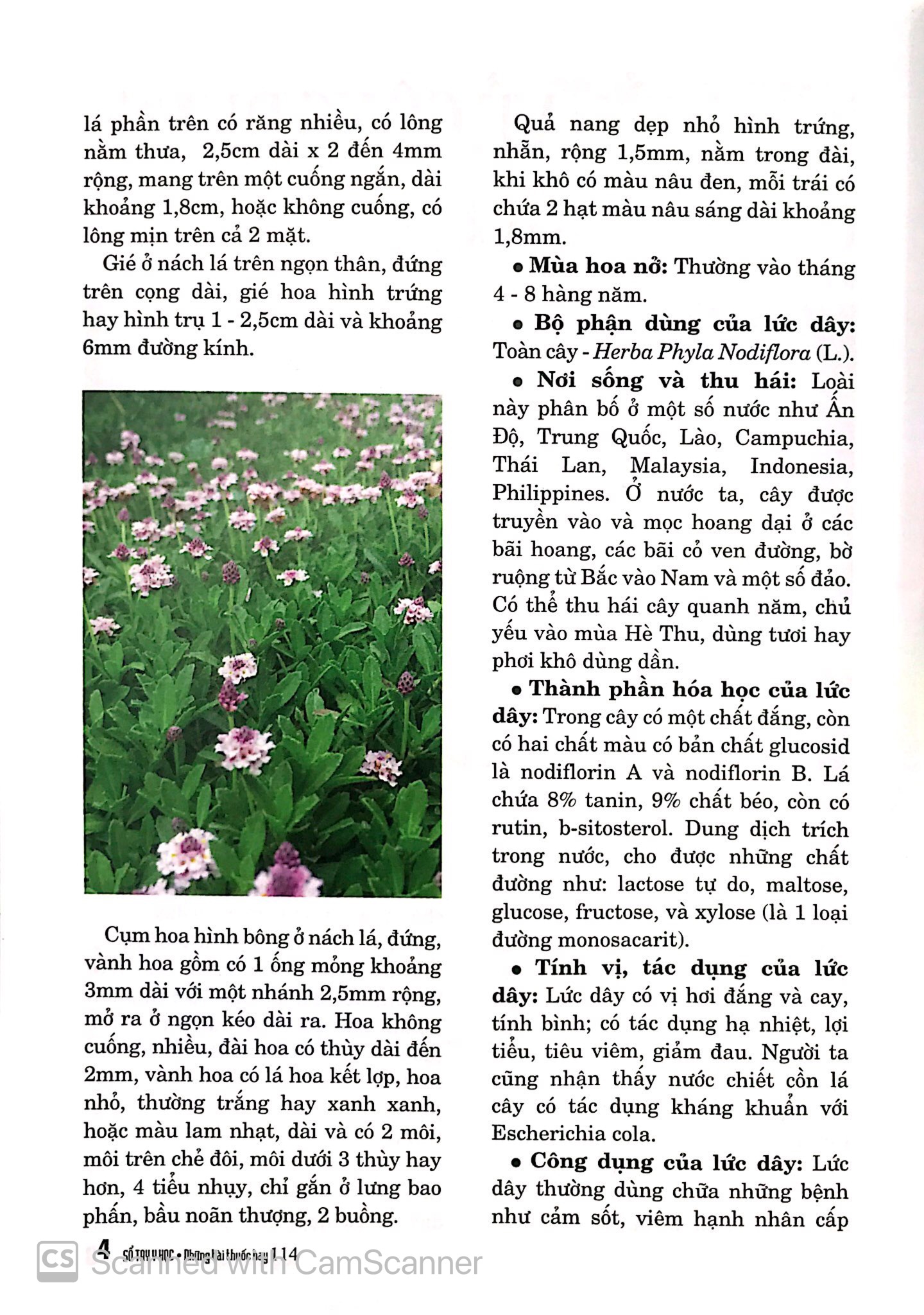 Tải sách Sổ Tay Y Học - Những Bài Thuốc Hay 114 PDF đọc ebook online, epub online, nghe sách nói audio miễn phí.