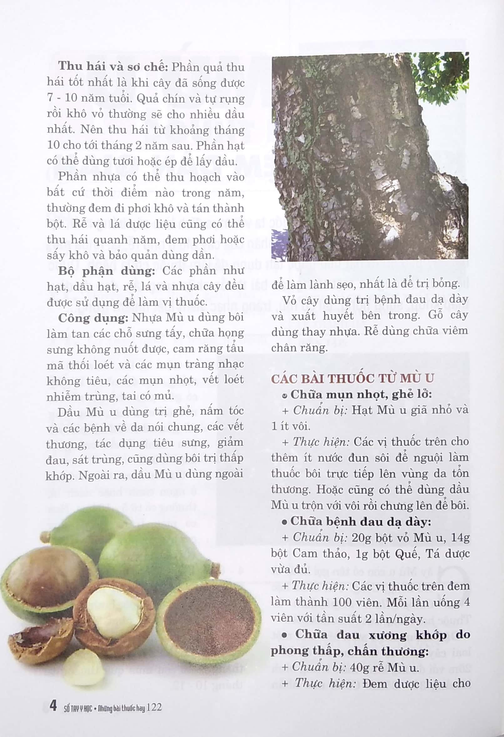 Sổ Tay Y Học - Những Bài Thuốc Hay 122 PDF đọc ebook online, epub online, nghe sách nói audio miễn phí.