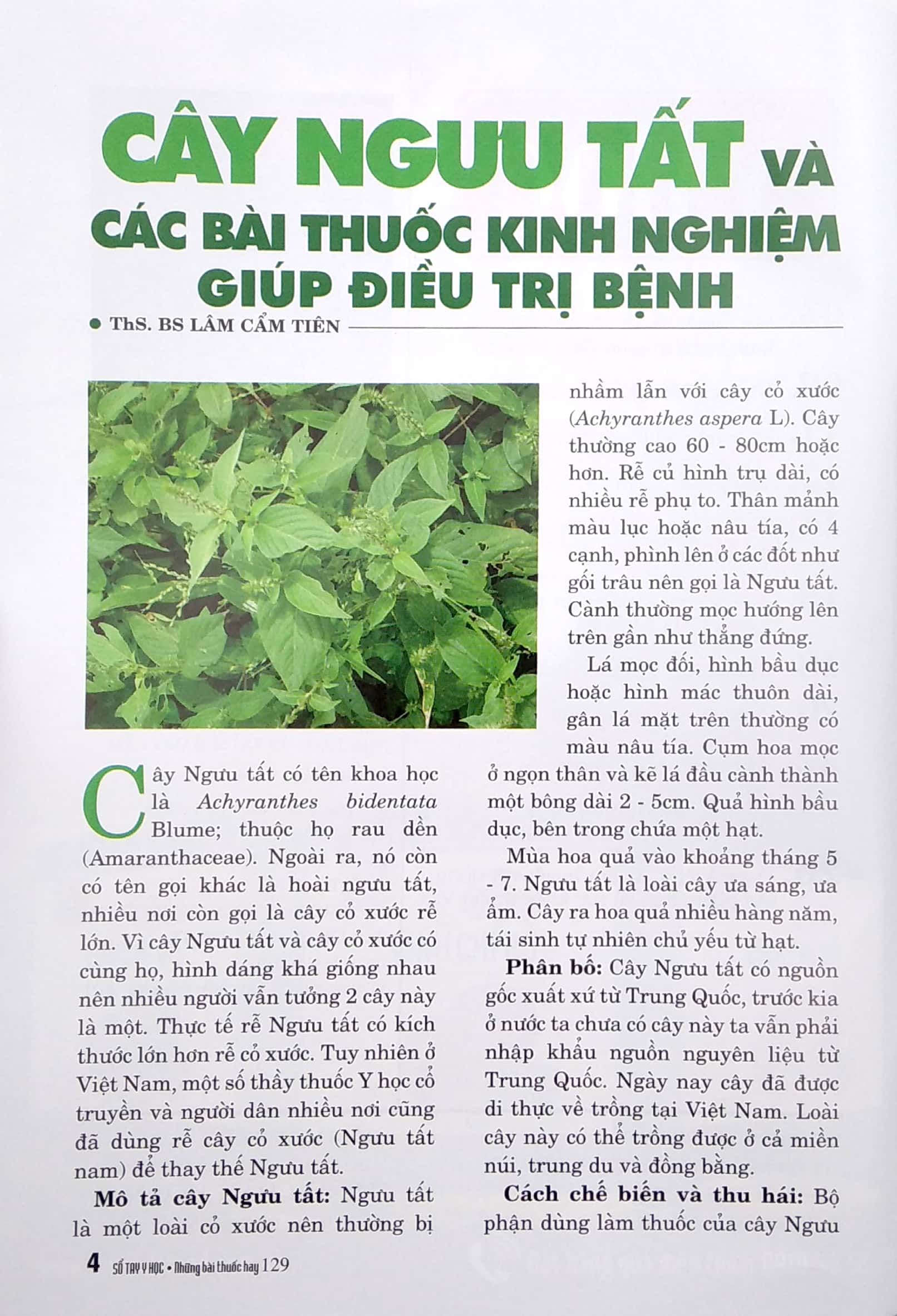 Bộ Sổ Tay Y Học - Những Bài Thuốc Hay 129 PDF Bộ Sổ Tay Y Học - Những Bài Thuốc Hay 129 PDF