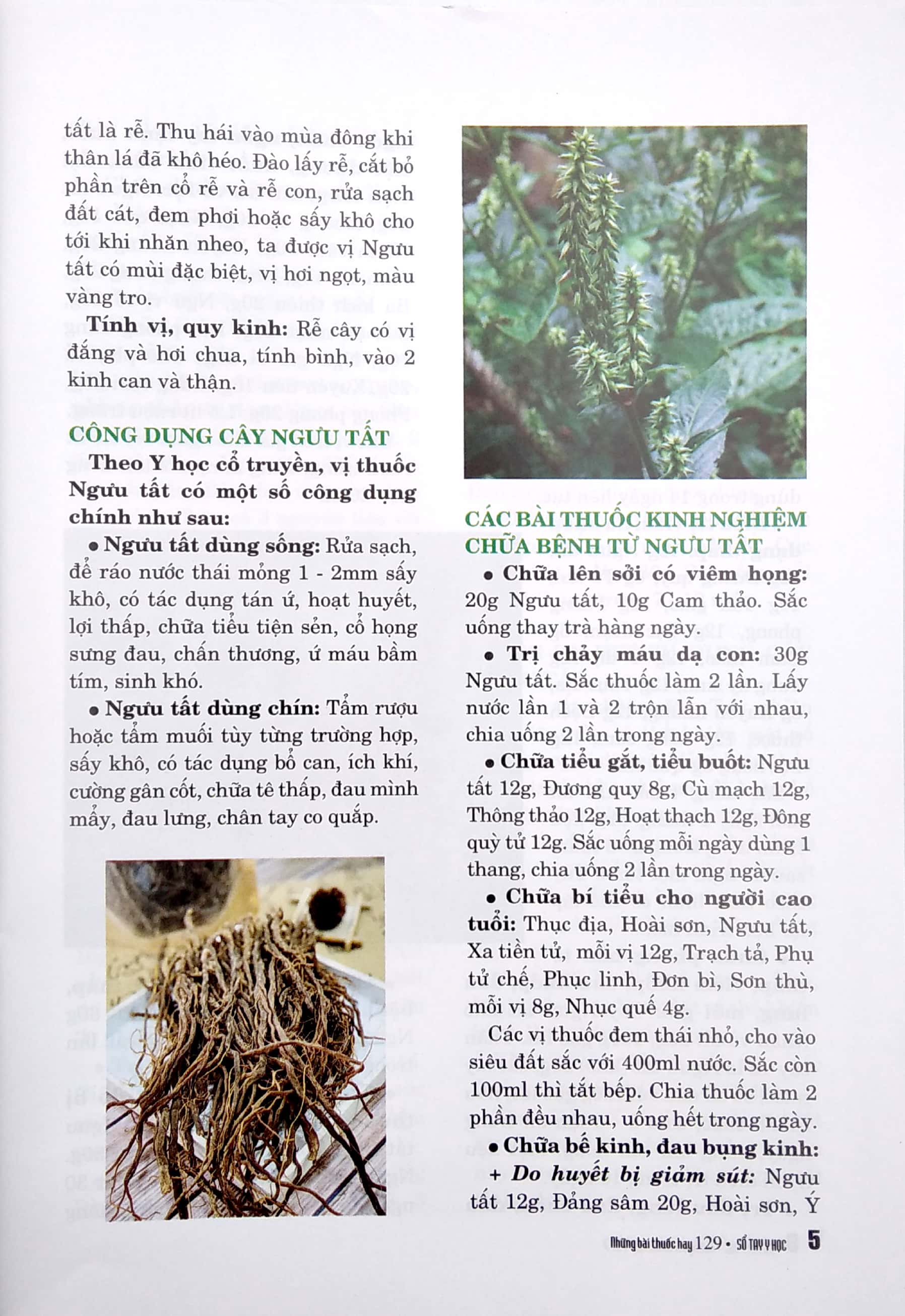 Bộ Sổ Tay Y Học - Những Bài Thuốc Hay 129 PDF Bộ Sổ Tay Y Học - Những Bài Thuốc Hay 129 PDF