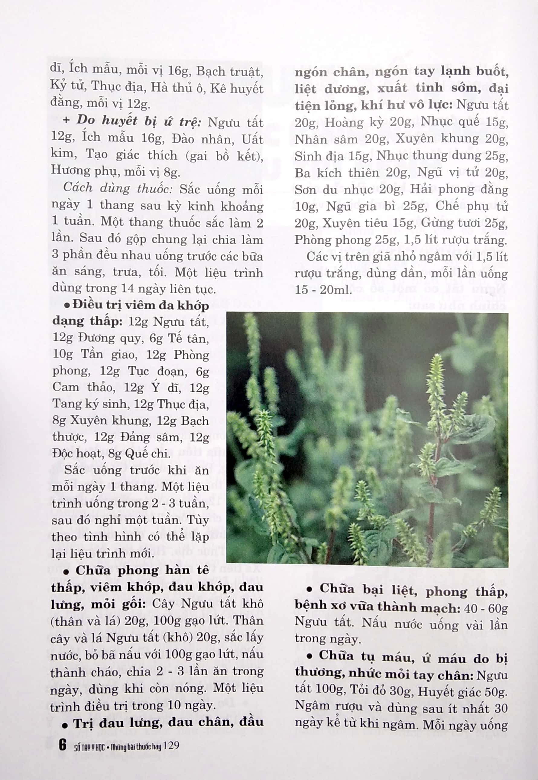 Bộ Sổ Tay Y Học - Những Bài Thuốc Hay 129 PDF Bộ Sổ Tay Y Học - Những Bài Thuốc Hay 129 PDF