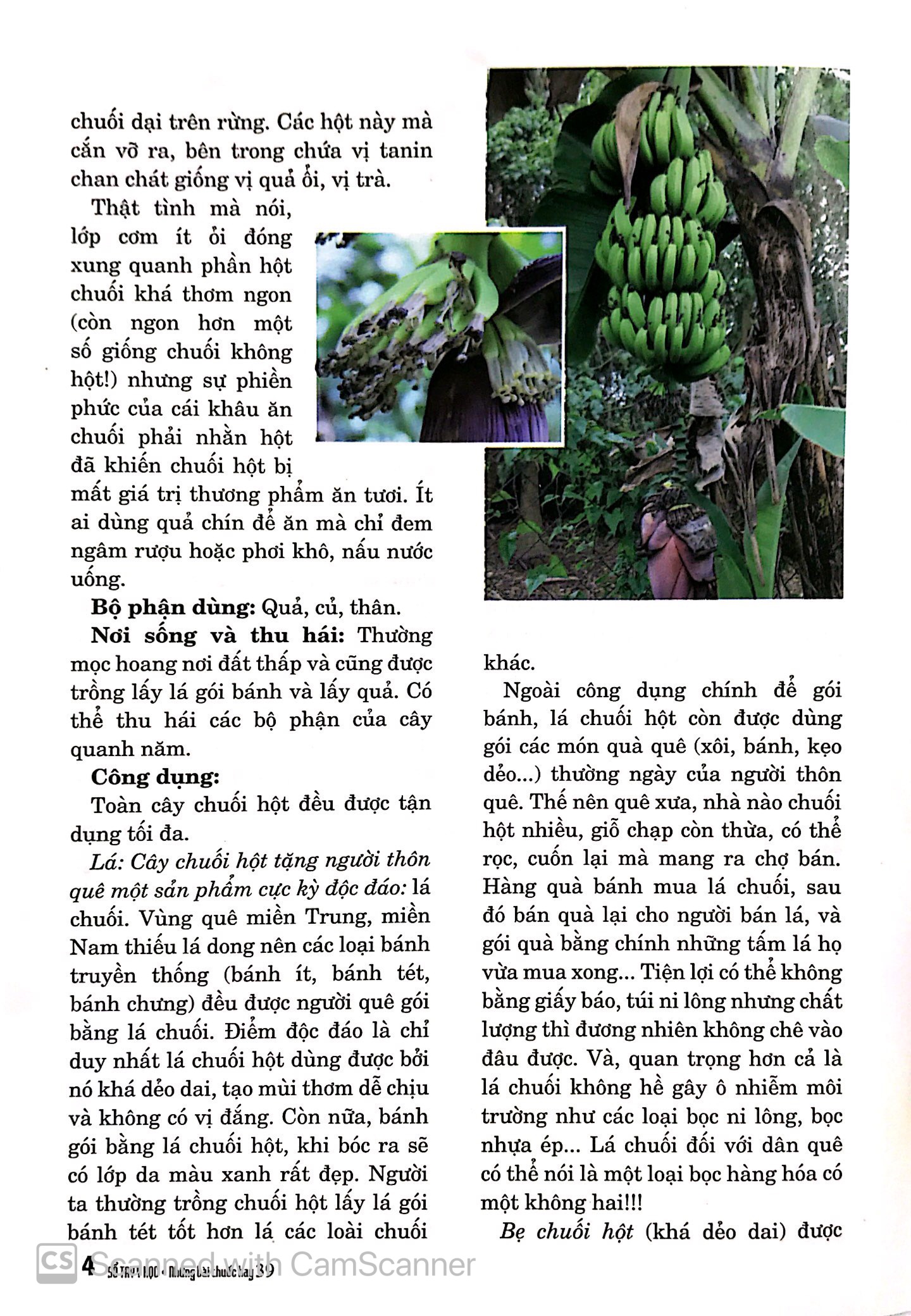 Bộ Sổ Tay Y Học - Những Bài Thuốc Hay 39 PDF