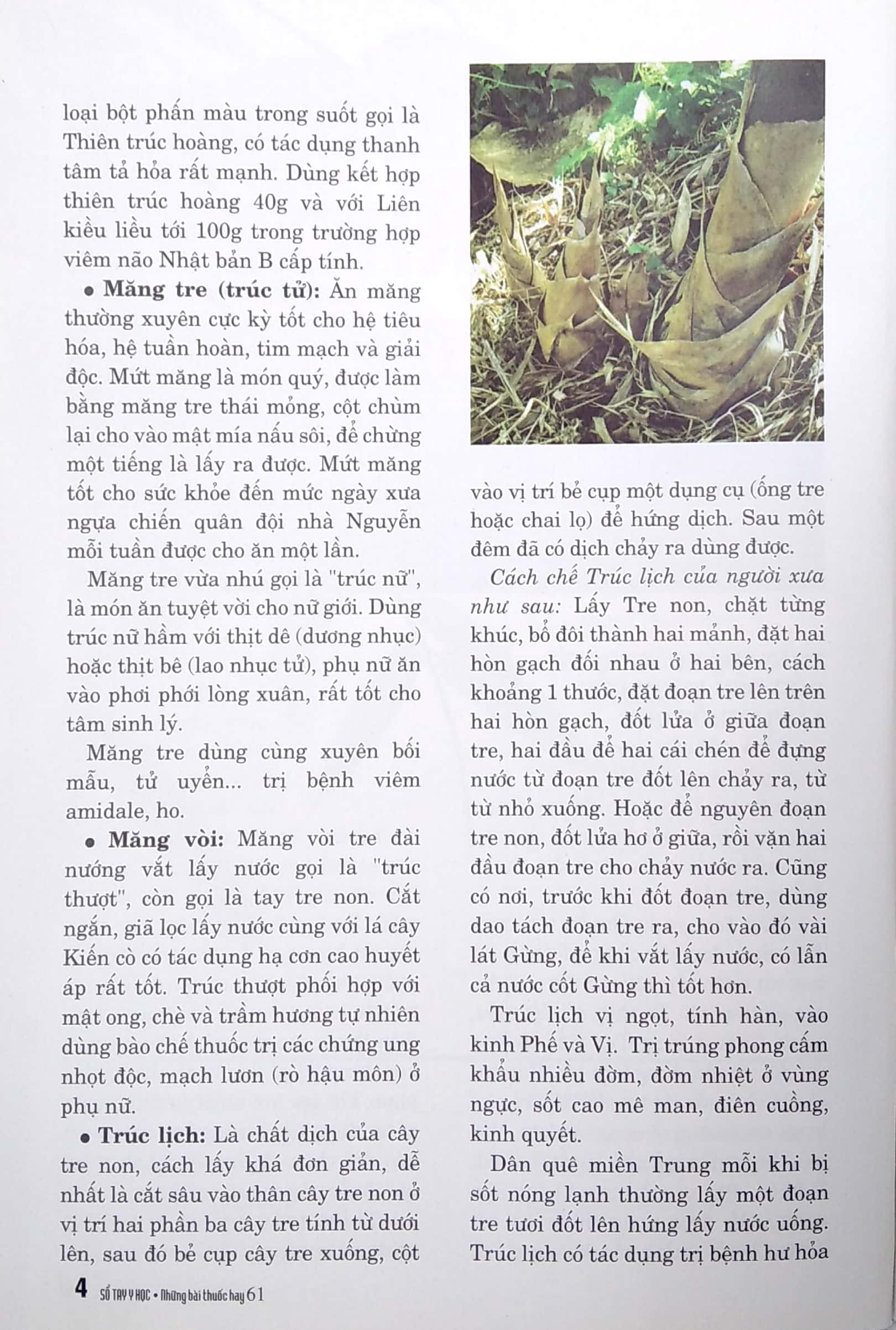 Tải sách Sổ Tay Y Học - Những Bài Thuốc Hay 61 PDF đọc ebook online, epub online, nghe sách nói audio miễn phí.