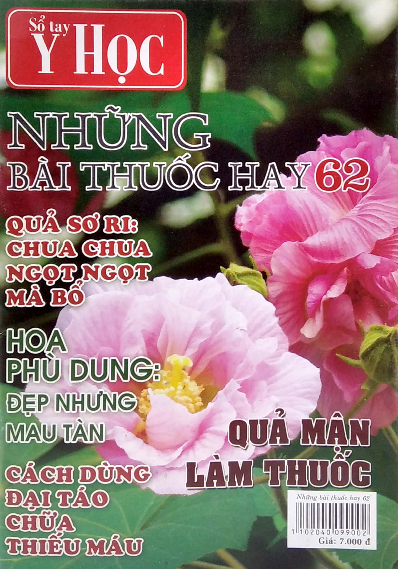 Bộ Sổ Tay Y Học - Những Bài Thuốc Hay 62 PDF