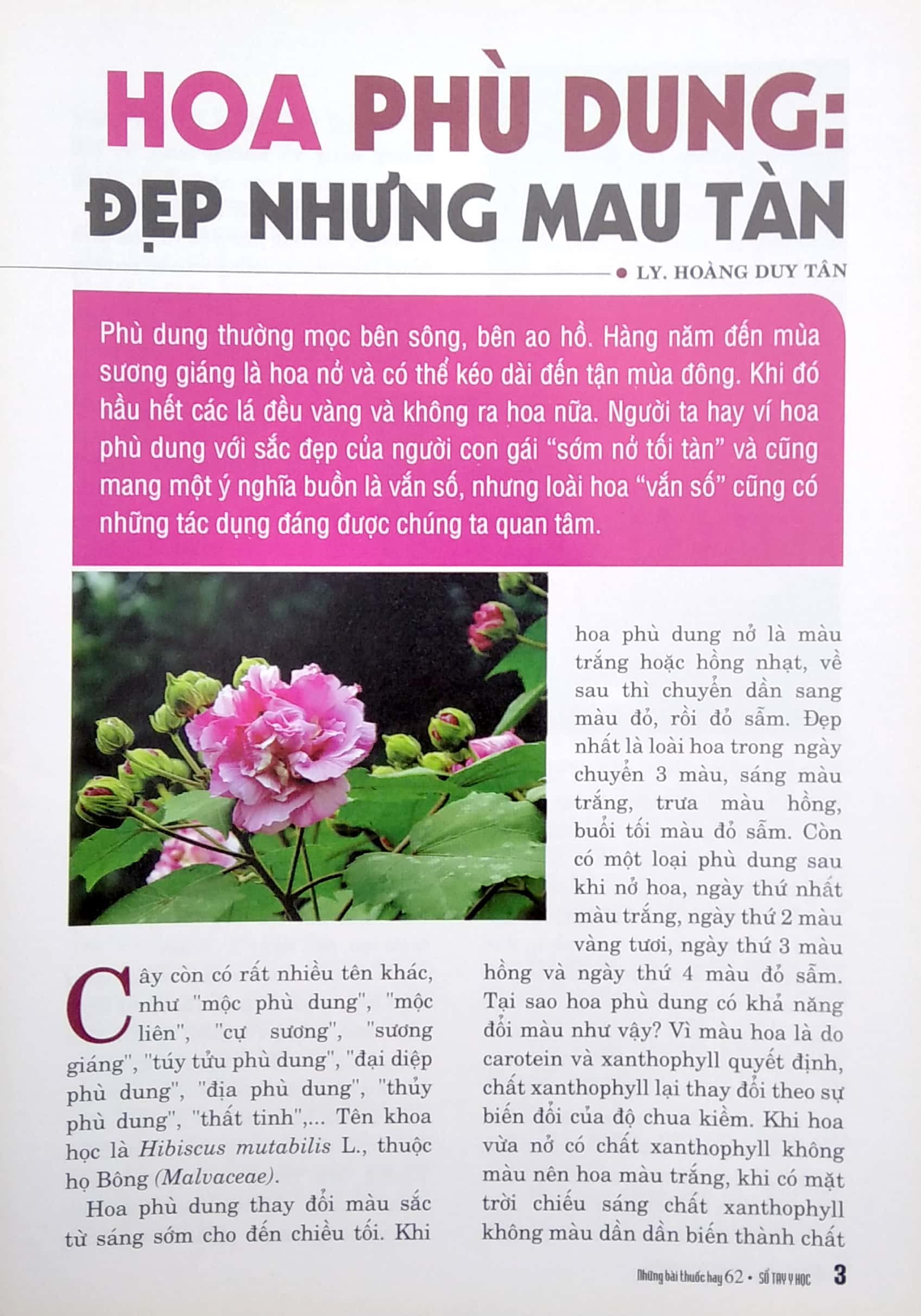 Bộ Sổ Tay Y Học - Những Bài Thuốc Hay 62 PDF