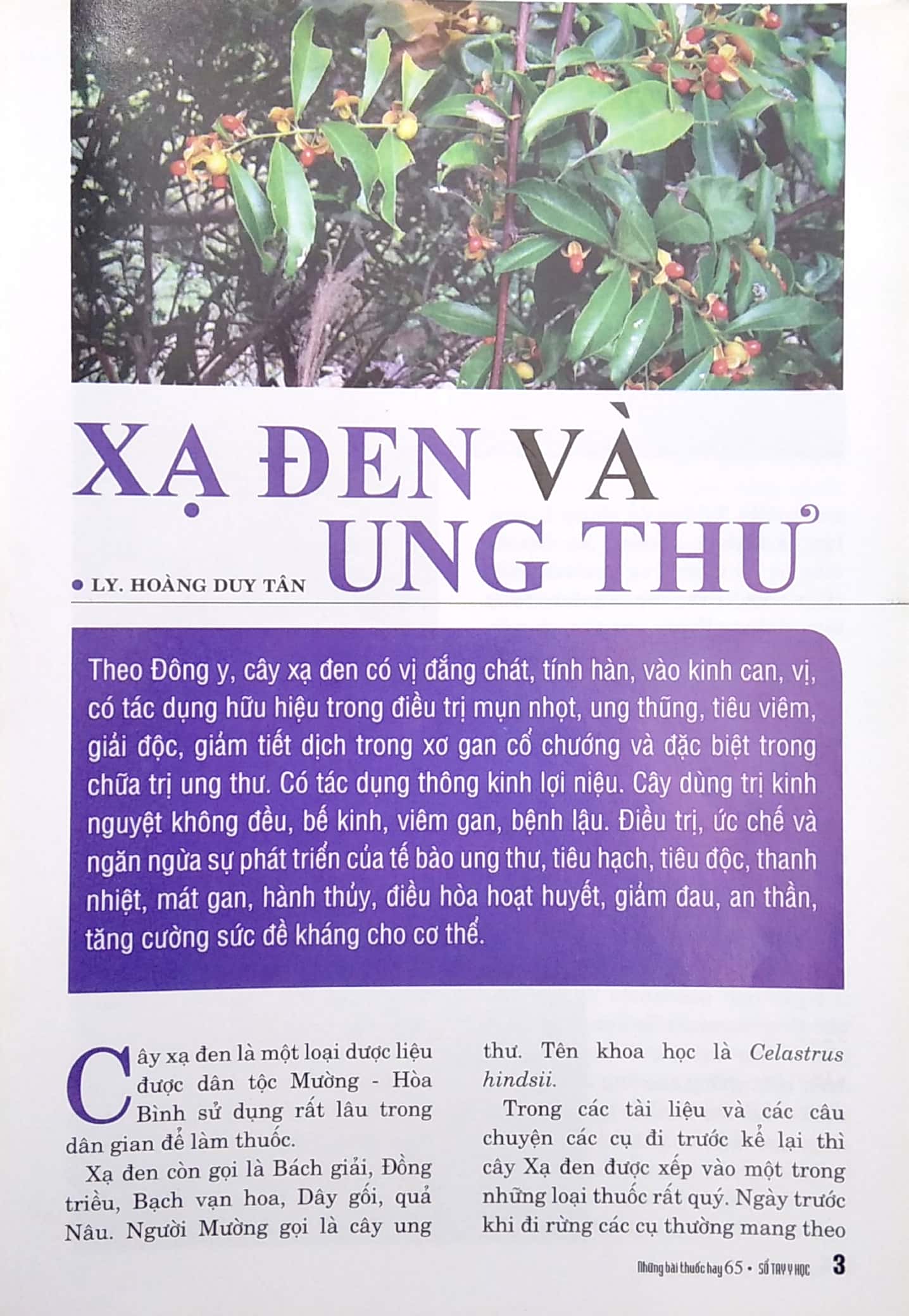 Bộ Sổ Tay Y Học - Những Bài Thuốc Hay 65 PDF Bộ Sổ Tay Y Học - Những Bài Thuốc Hay 65 PDF