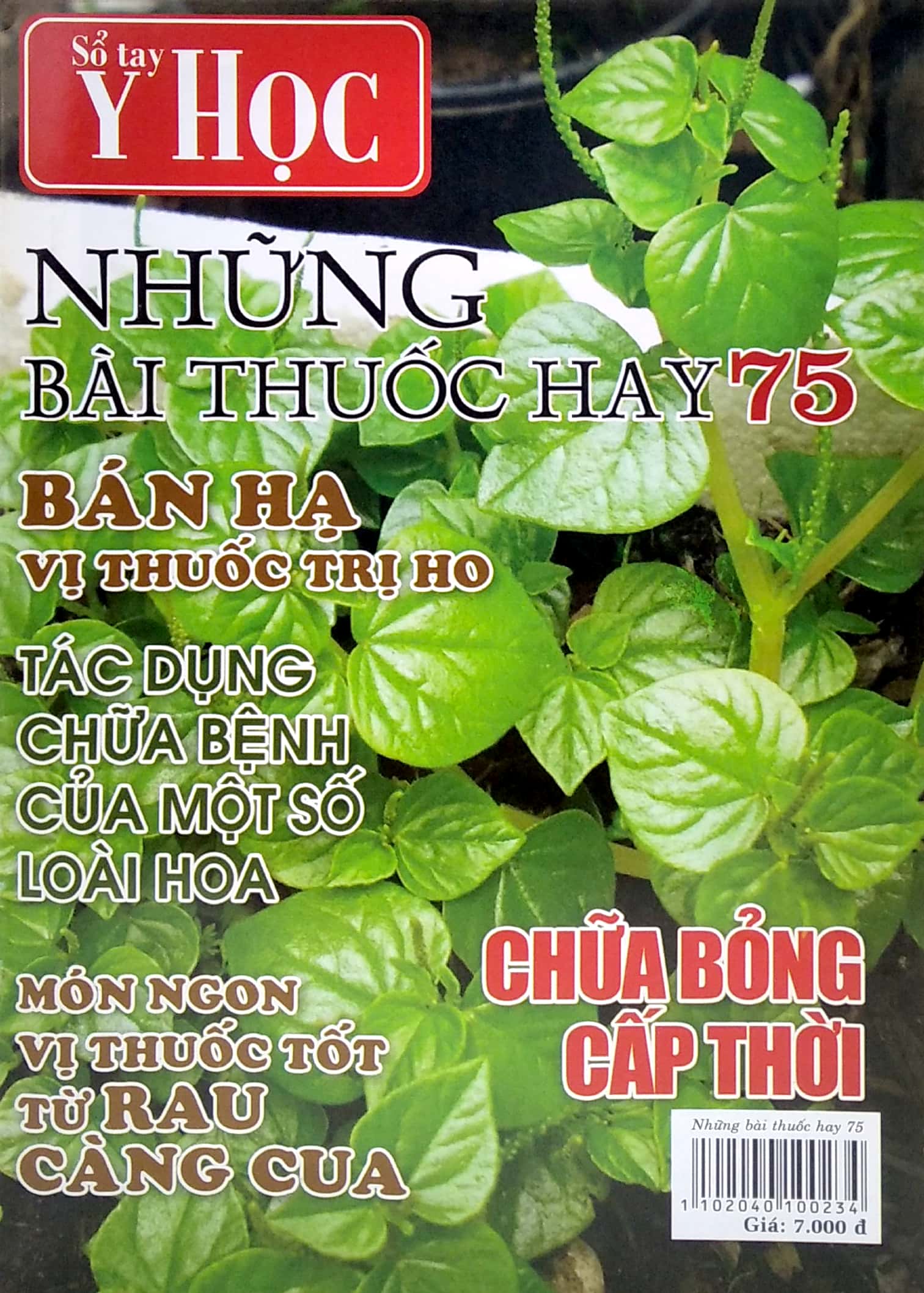 Bộ Sổ Tay Y Học - Những Bài Thuốc Hay 75 PDF Bộ Sổ Tay Y Học - Những Bài Thuốc Hay 75 PDF