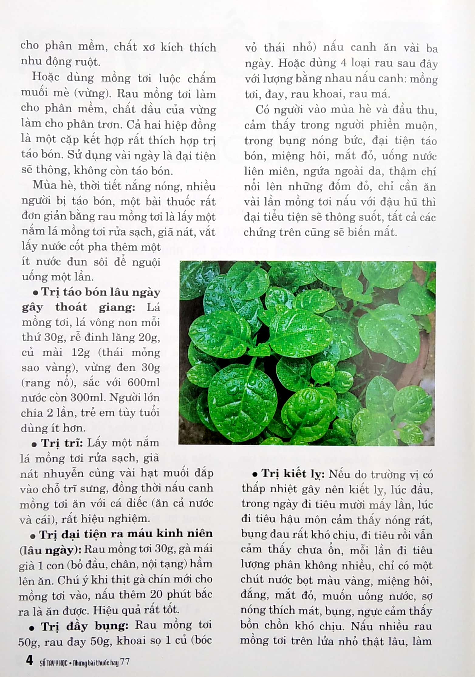 Bộ Sổ Tay Y Học - Những Bài Thuốc Hay 77 PDF Bộ Sổ Tay Y Học - Những Bài Thuốc Hay 77 PDF