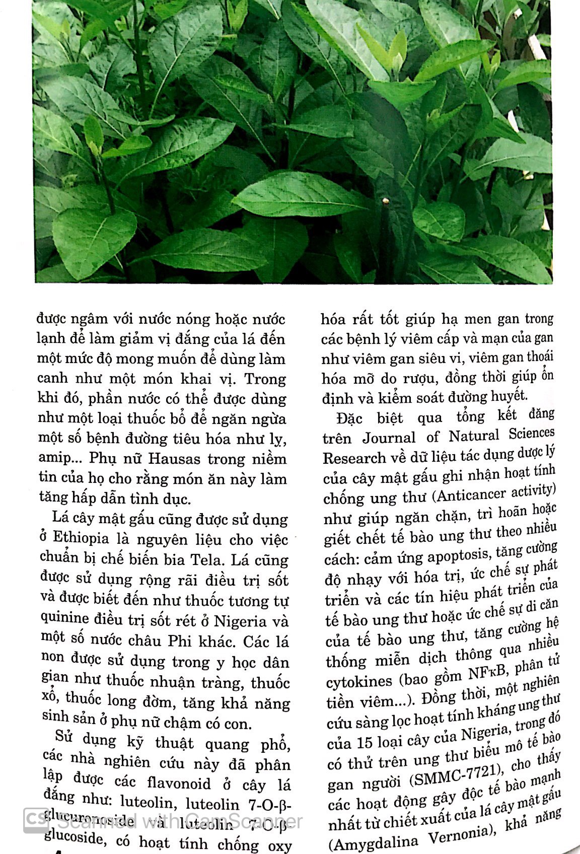 Sổ Tay Y Học - Những Bài Thuốc Hay 85 PDF đọc ebook online, epub online, nghe sách nói audio miễn phí.