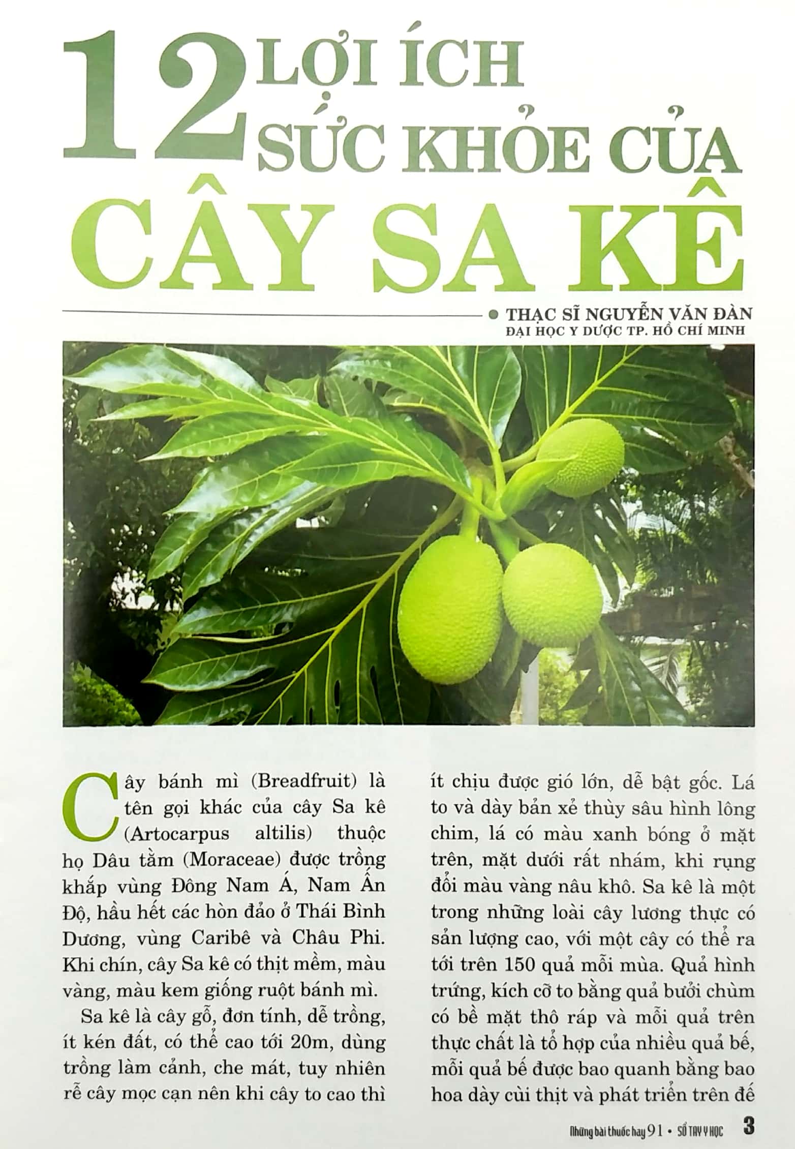 Tải sách Sổ Tay Y Học - Những Bài Thuốc Hay 91 PDF đọc ebook online, epub online, nghe sách nói audio miễn phí.