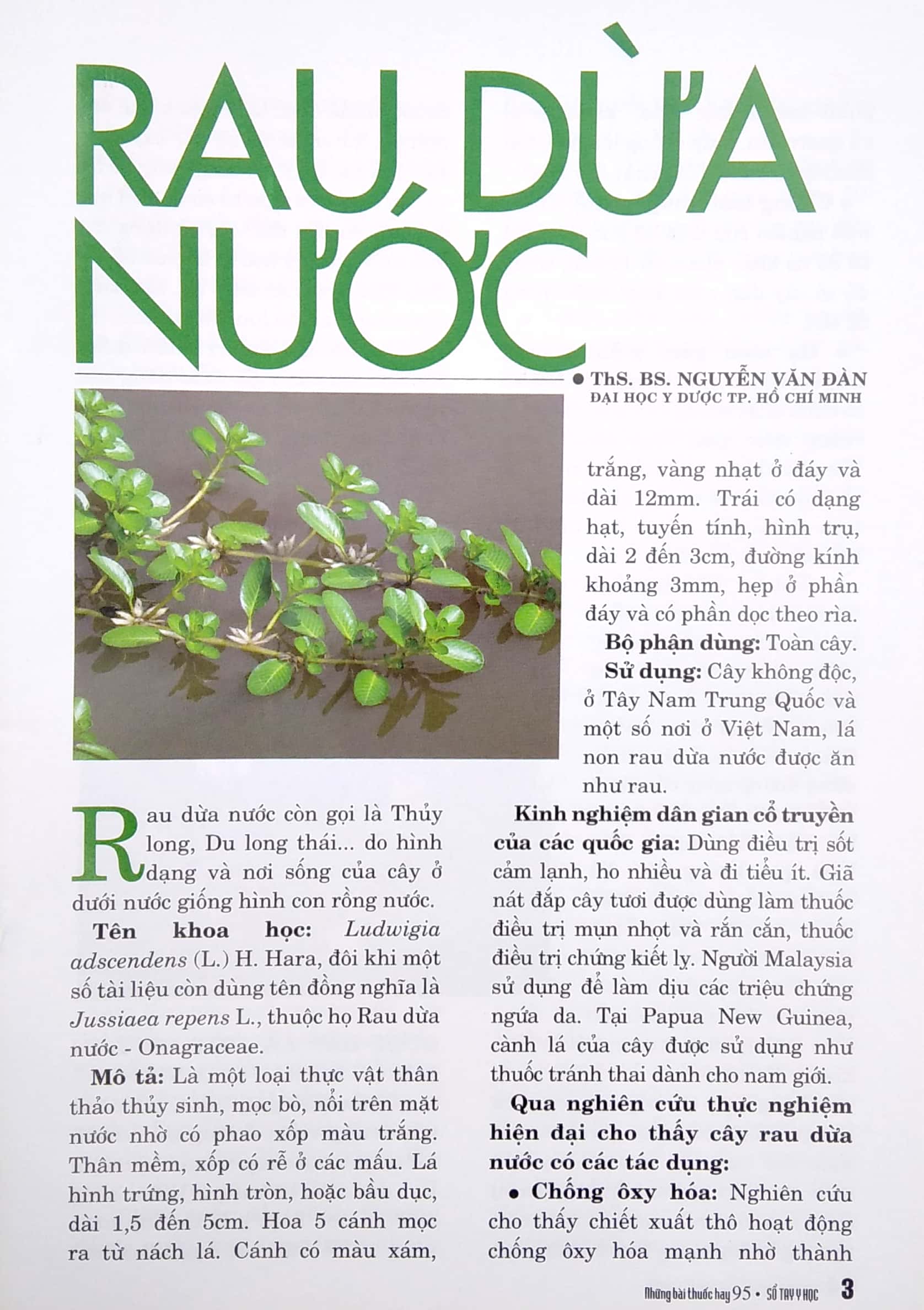 Bộ Sổ Tay Y Học - Những Bài Thuốc Hay 95 PDF Bộ Sổ Tay Y Học - Những Bài Thuốc Hay 95 PDF