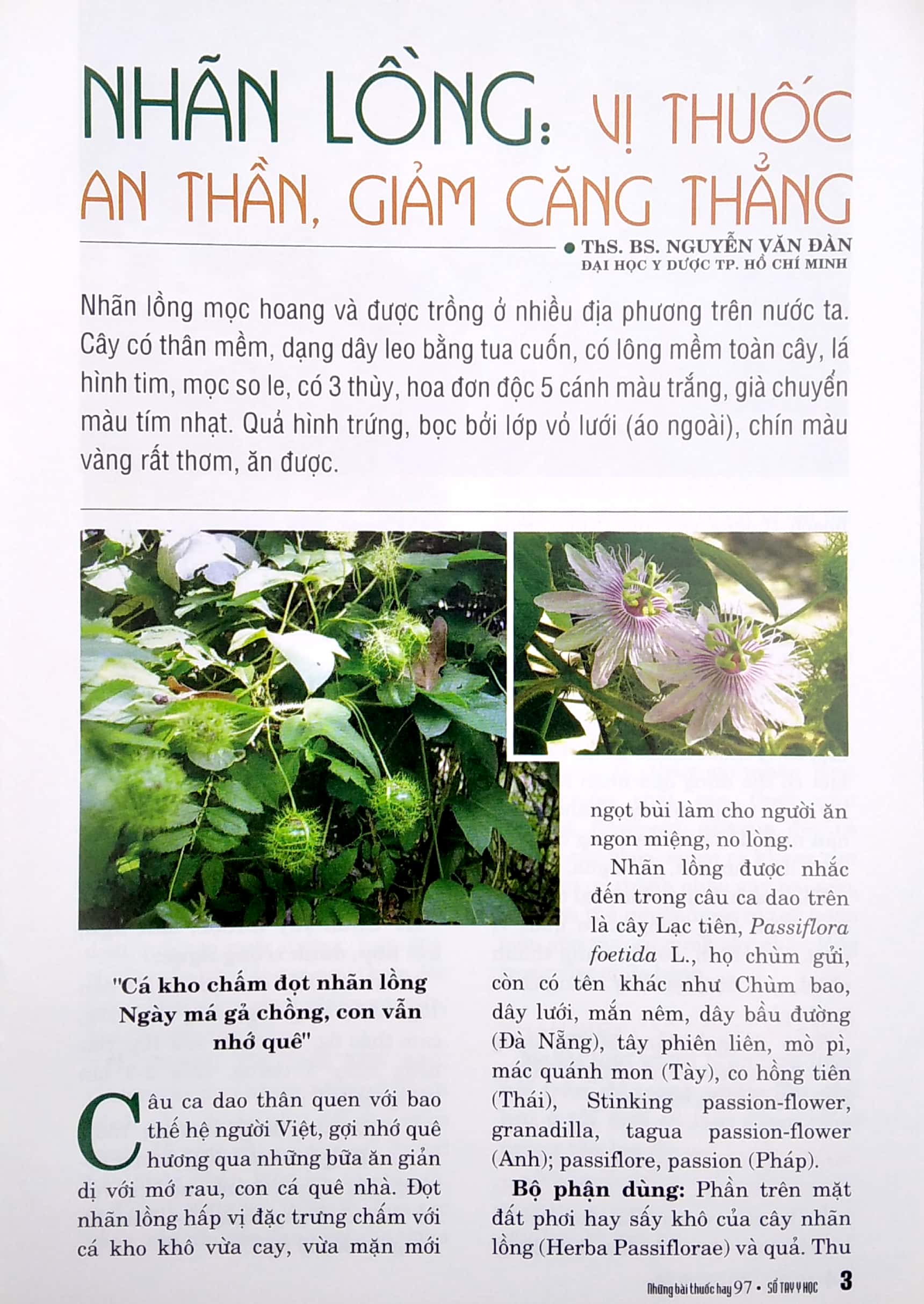 Tải sách Sổ Tay Y Học - Những Bài Thuốc Hay 97 PDF đọc ebook online, epub online, nghe sách nói audio miễn phí.