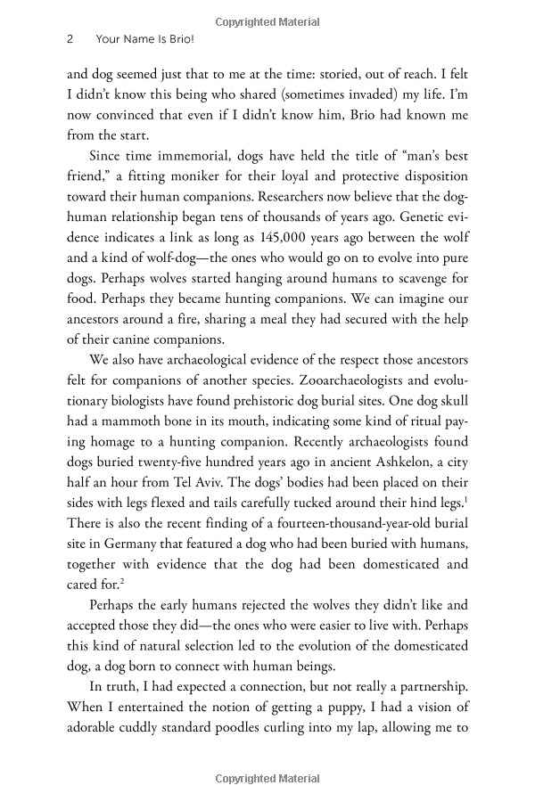 Soul Dog A Journey Into The Spiritual Life Of Animals