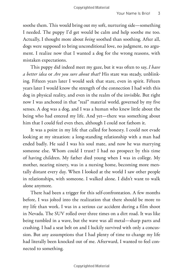 Soul Dog A Journey Into The Spiritual Life Of Animals