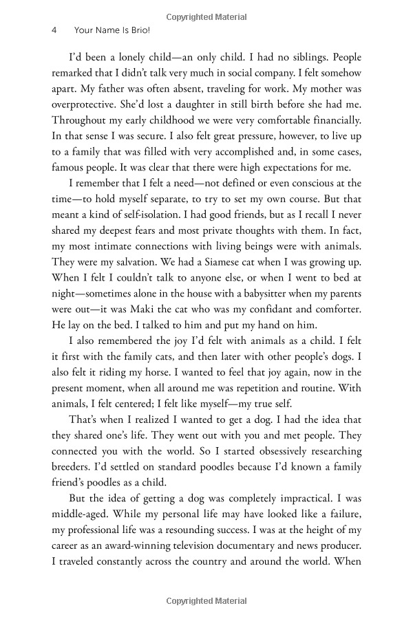 Soul Dog A Journey Into The Spiritual Life Of Animals