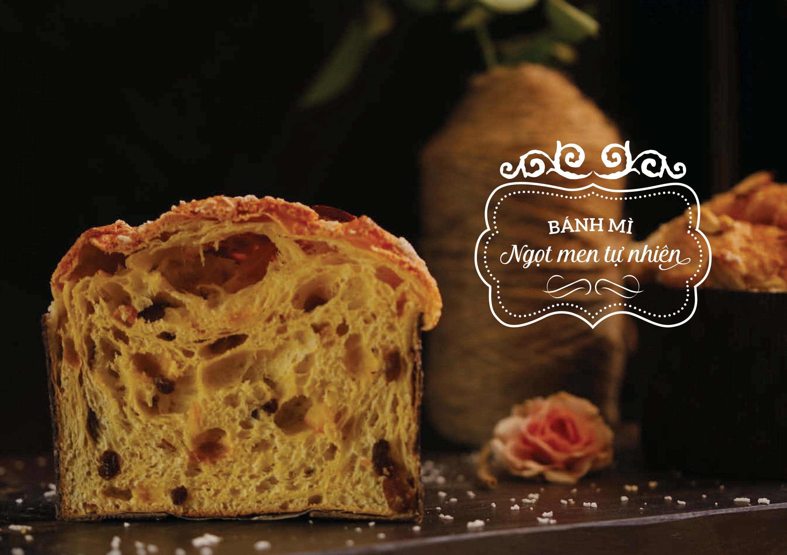 Tải sách Sourdough Bread - Bánh Mì Men Tự Nhiên PDF đọc ebook online, epub online, nghe sách nói audio miễn phí.