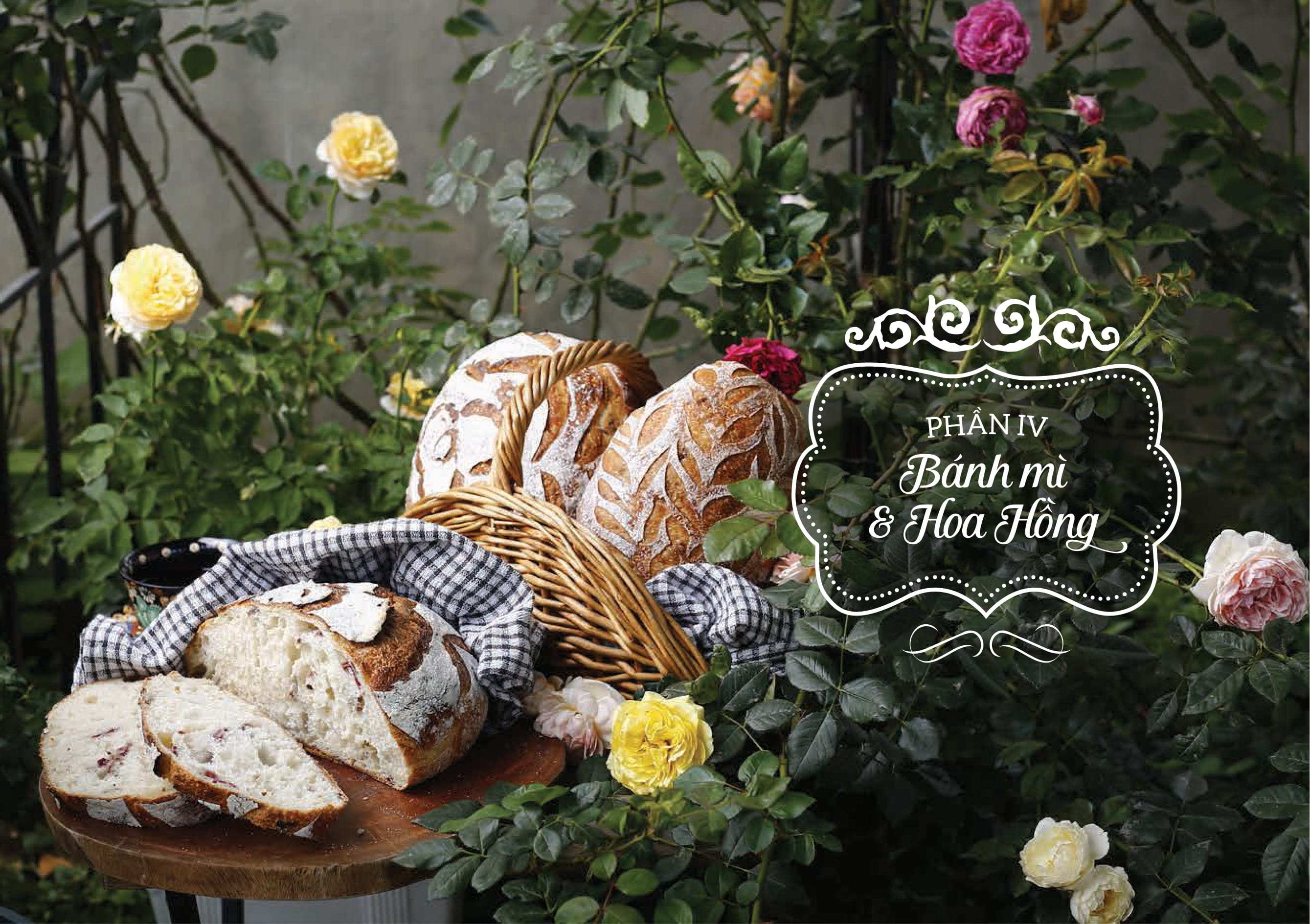 Tải sách Sourdough Bread - Bánh Mì Men Tự Nhiên PDF đọc ebook online, epub online, nghe sách nói audio miễn phí.