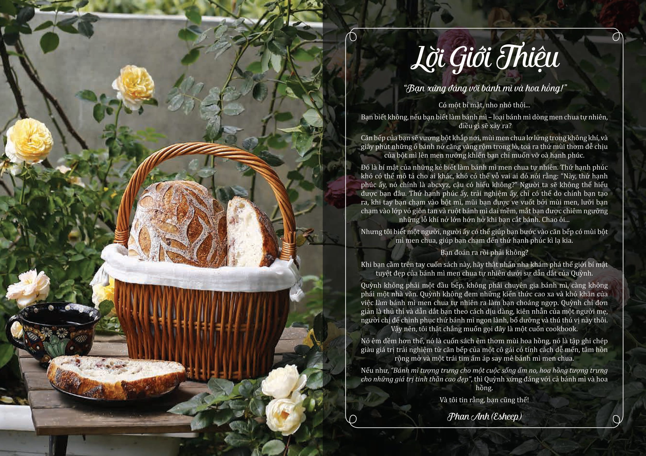 Tải sách Sourdough Bread - Bánh Mì Men Tự Nhiên PDF đọc ebook online, epub online, nghe sách nói audio miễn phí.