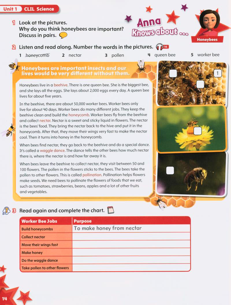 Starlight: Level 5: Student Book - FAHASA.COM