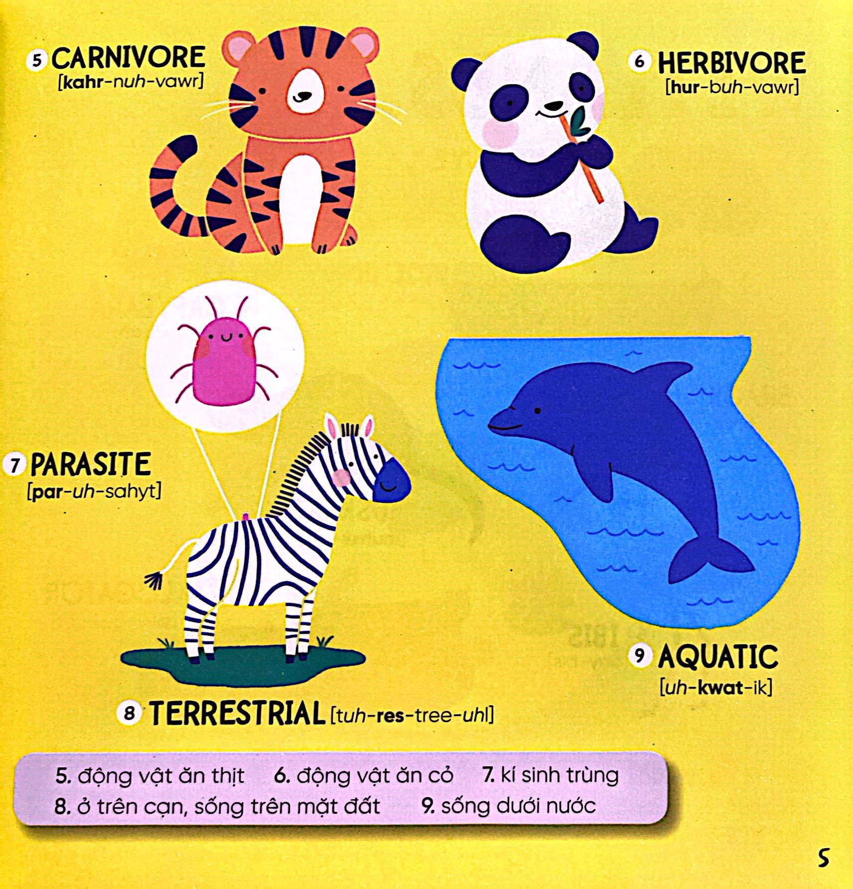 Steam Words Nature - Từ Vựng Về Tự Nhiên PDF Steam Words Nature - Từ Vựng Về Tự Nhiên PDF