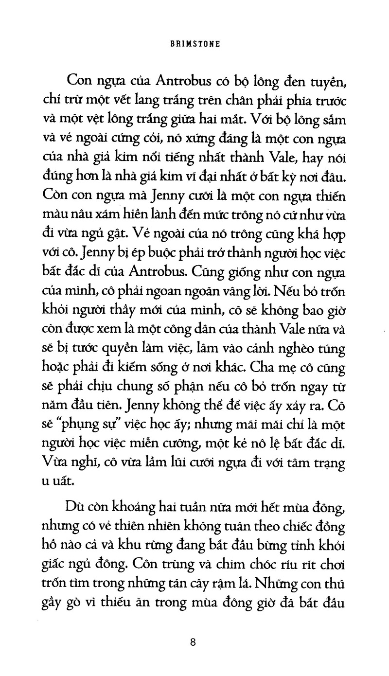 Sự Thật Về Hòn Đá Phù Thủy PDF đọc ebook online, epub online, nghe sách nói audio miễn phí.