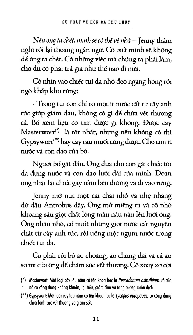 Sự Thật Về Hòn Đá Phù Thủy PDF đọc ebook online, epub online, nghe sách nói audio miễn phí.