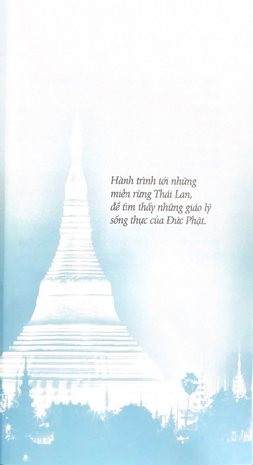 Tâm Tĩnh Lặng (Tái Bản 2024) PDF đọc ebook online, epub online, nghe sách nói audio miễn phí.