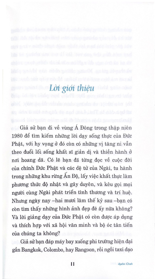 Tâm Tĩnh Lặng (Tái Bản 2024) PDF đọc ebook online, epub online, nghe sách nói audio miễn phí.