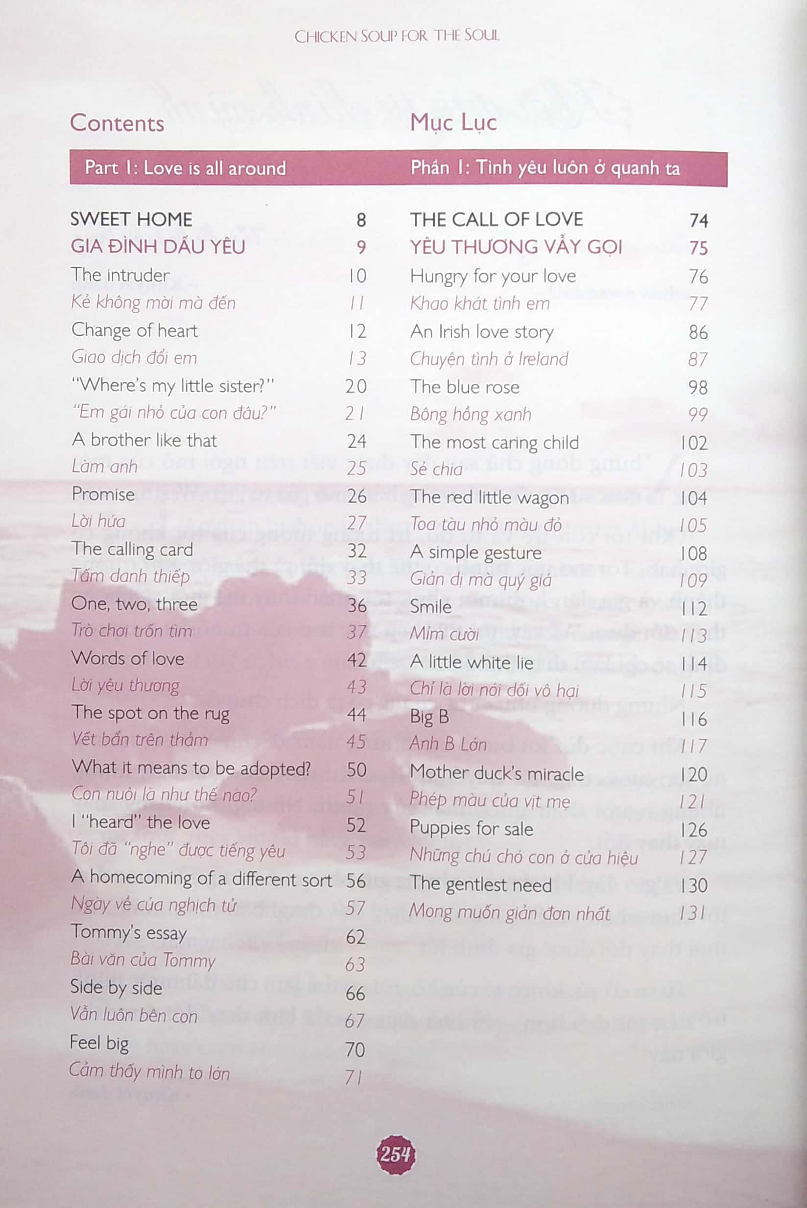 The Best Of Chicken Soup For The Soul - Tuyển Tập Những Câu Chuyện Hay Nhất Song Ngữ Anh Việt PDF